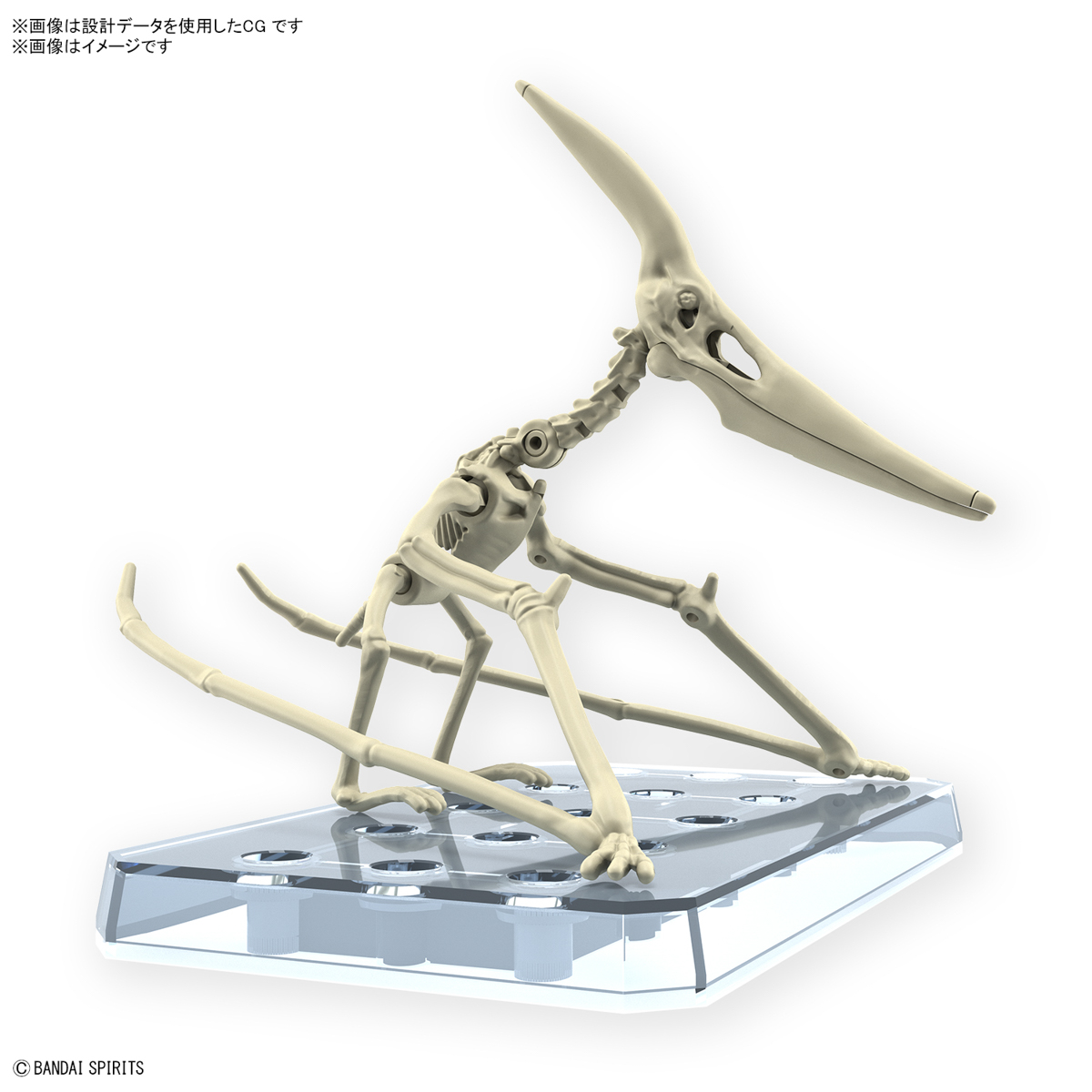 <Preorder ปิดรับวันที่30/9/2023 >🔔เปิดรับPreorder ไม่ต้องมัดจำครับ planosaurus pteranodon