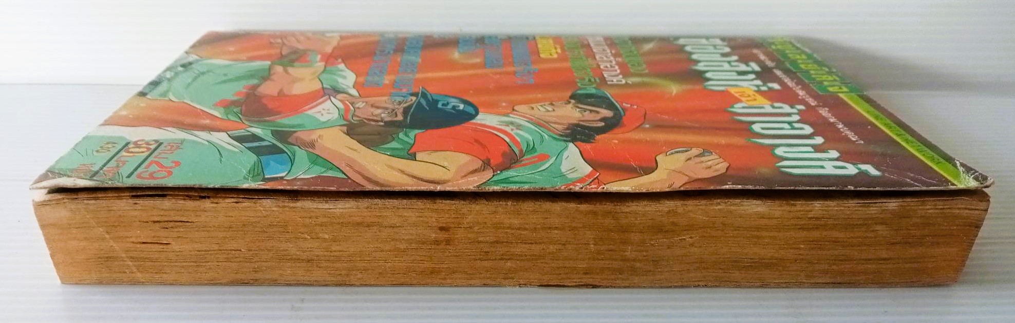 สองสิงห์เจ้าสำอางค์ เล่ม 29 (เล่มจบ)