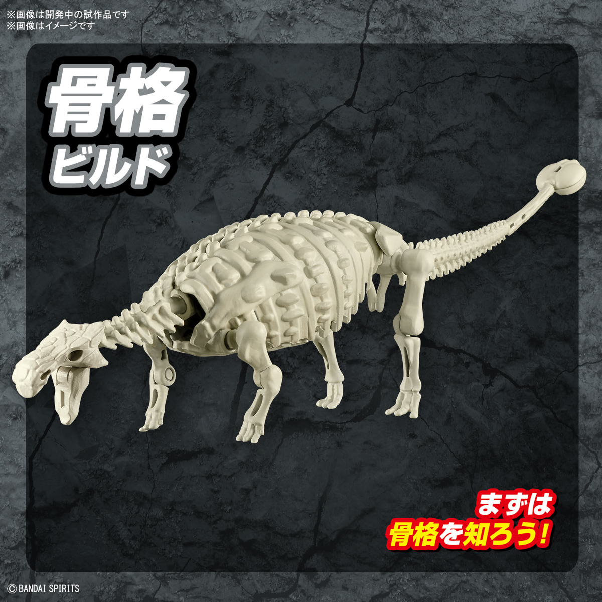 <Preorder ปิดวันที่2/7/2023 > 🔔เปิดรับPreorder ไม่ต้องมัดจำ Planosaurus Ankylosaurus
