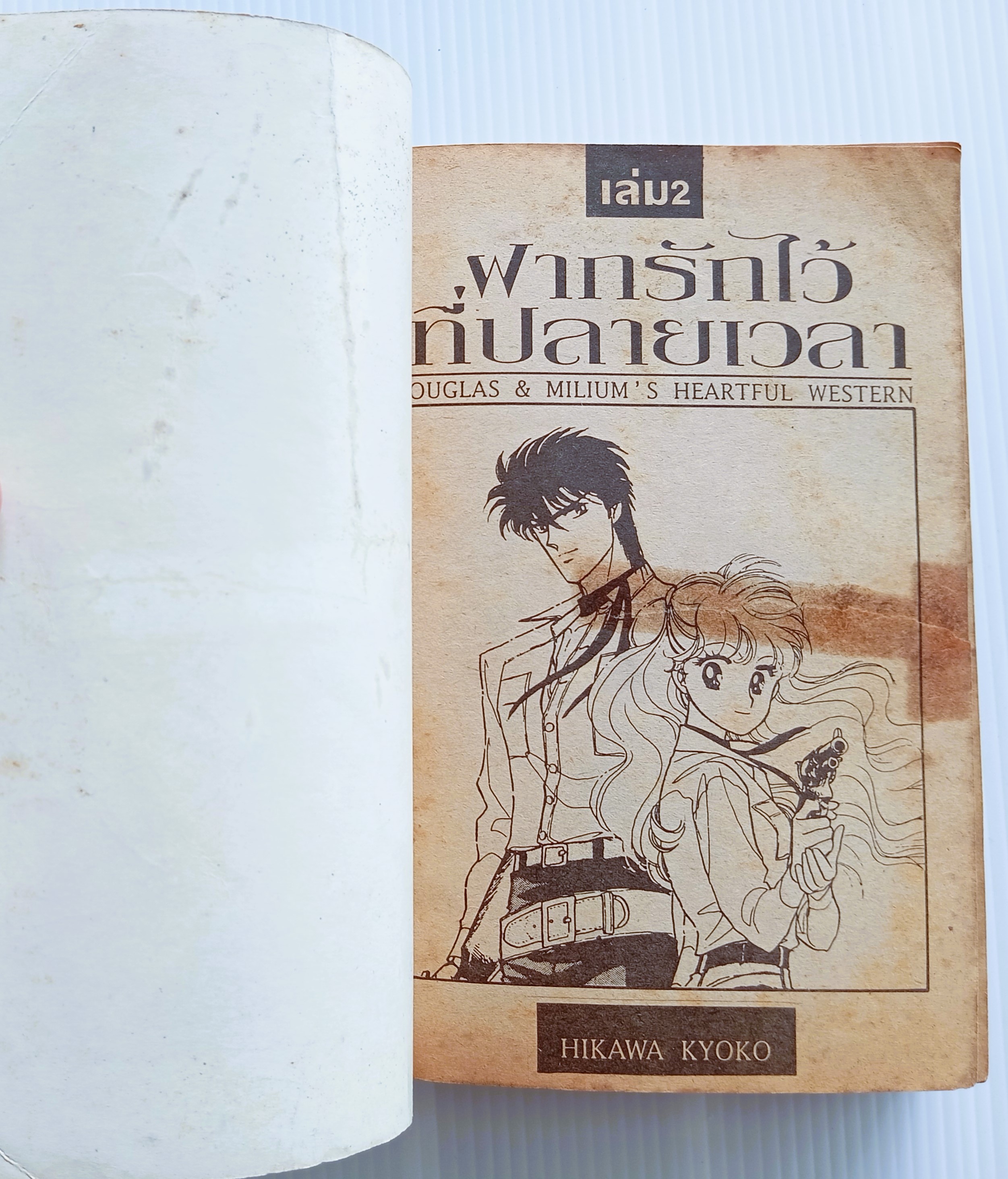 ฝากรักไว้ที่ปลายฟ้า