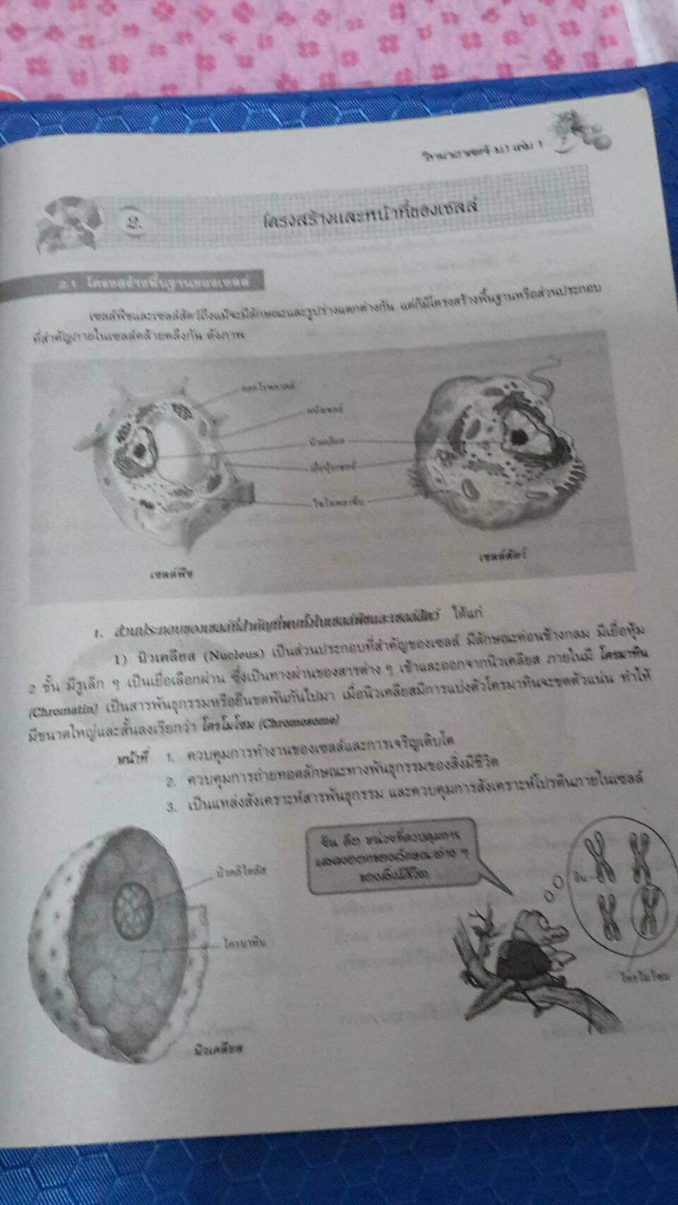 หนังสือสื่อการเรียนรู้และเสริมสร้างทักษะตามมาตรฐานและตัวชี้วัด กลุ่มสาระการเรียนรู้วิทยาศาสตร์ ชั้น ม.1 เล่ม 1 สำนักพิมพ์นิยมวิทยา