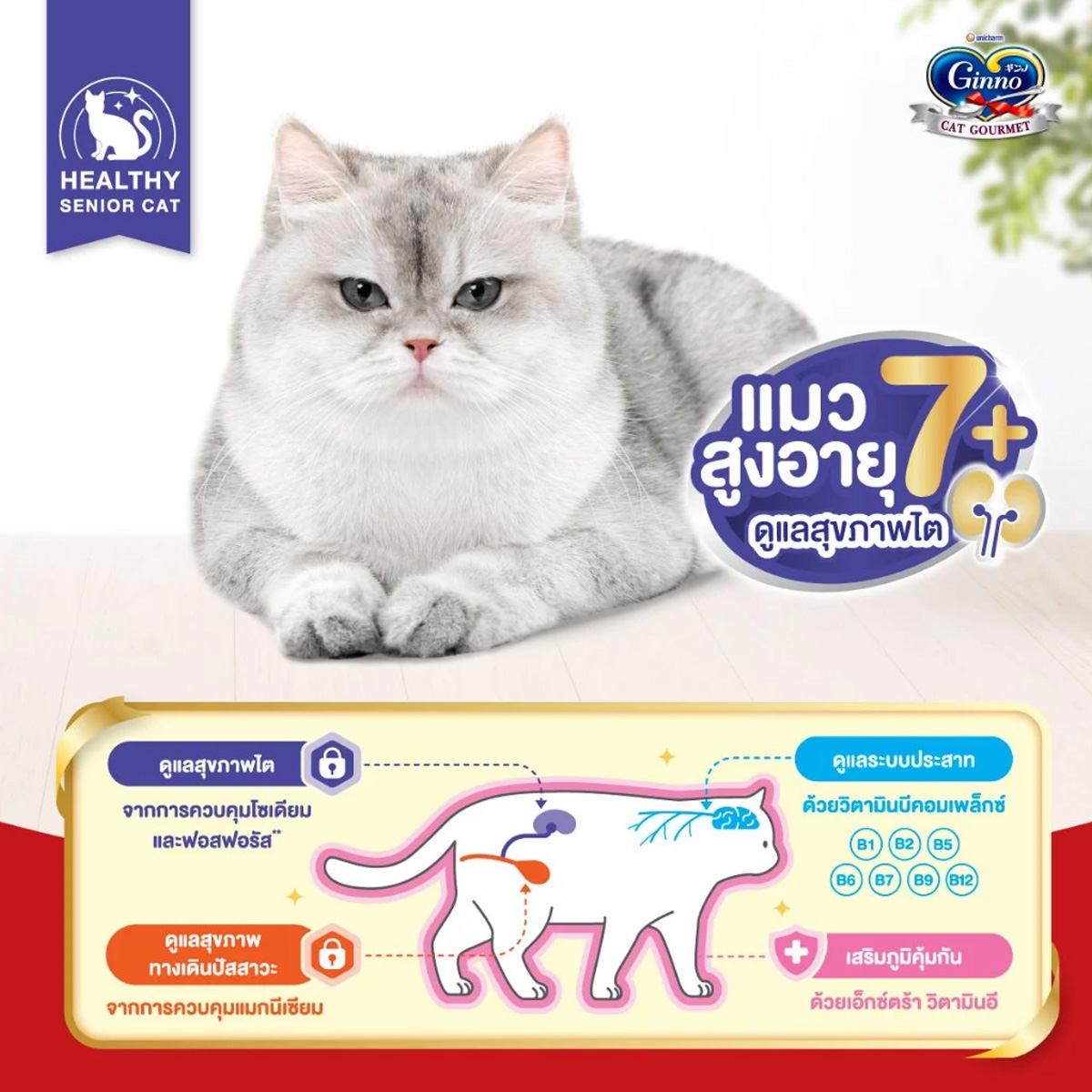 Ginno Dry Health กินโนะ อาหารเม็ดแมวสูตรสุขภาพ ขนาด 360g.