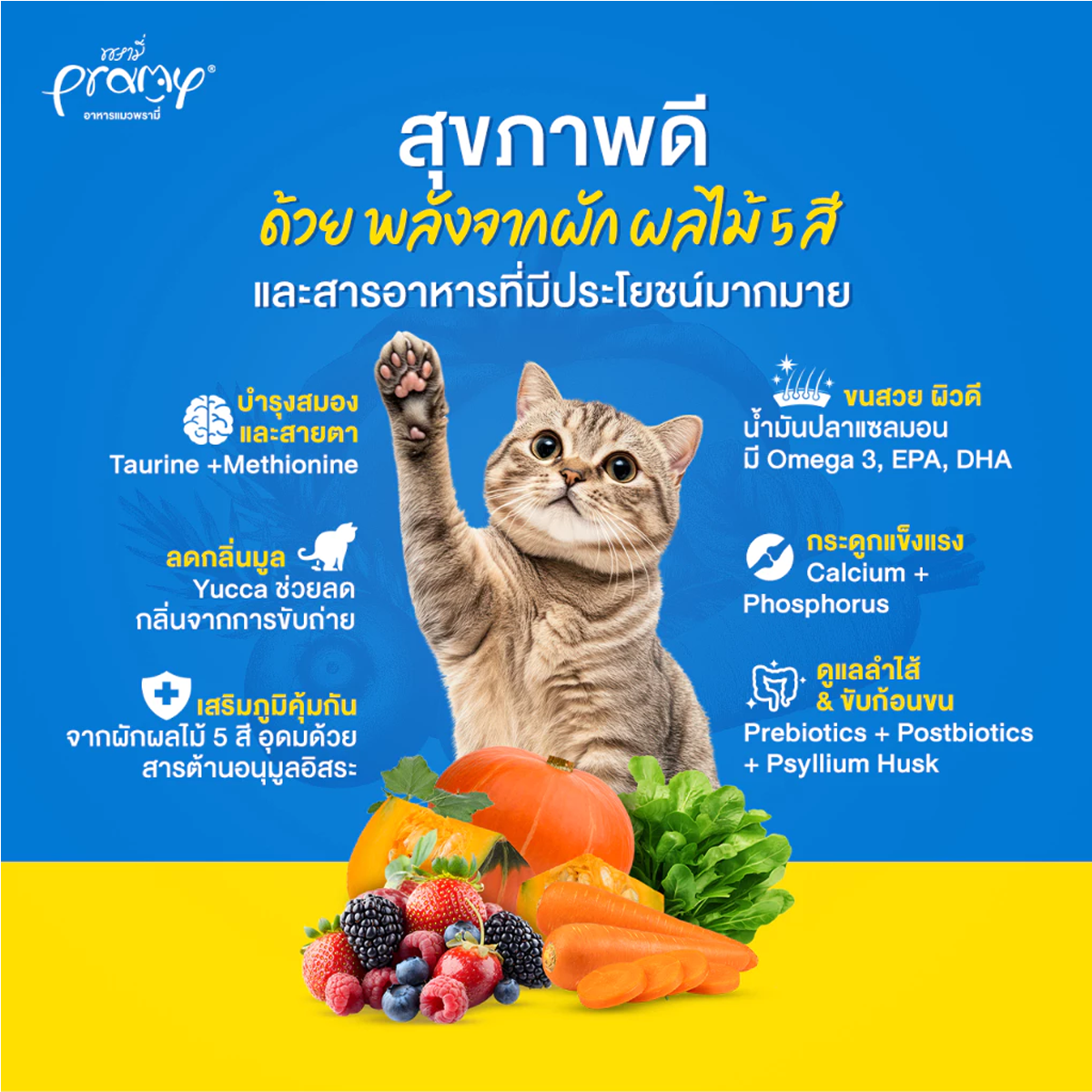 Pramy Carnivore อาหารเม็ดแมวพรามี่ สูตรเน้นเนื้อแท้ โปรตีนสูง เสริมสร้างสุขภาพแบบรอบด้าน ขนาด 1kg สำเนา