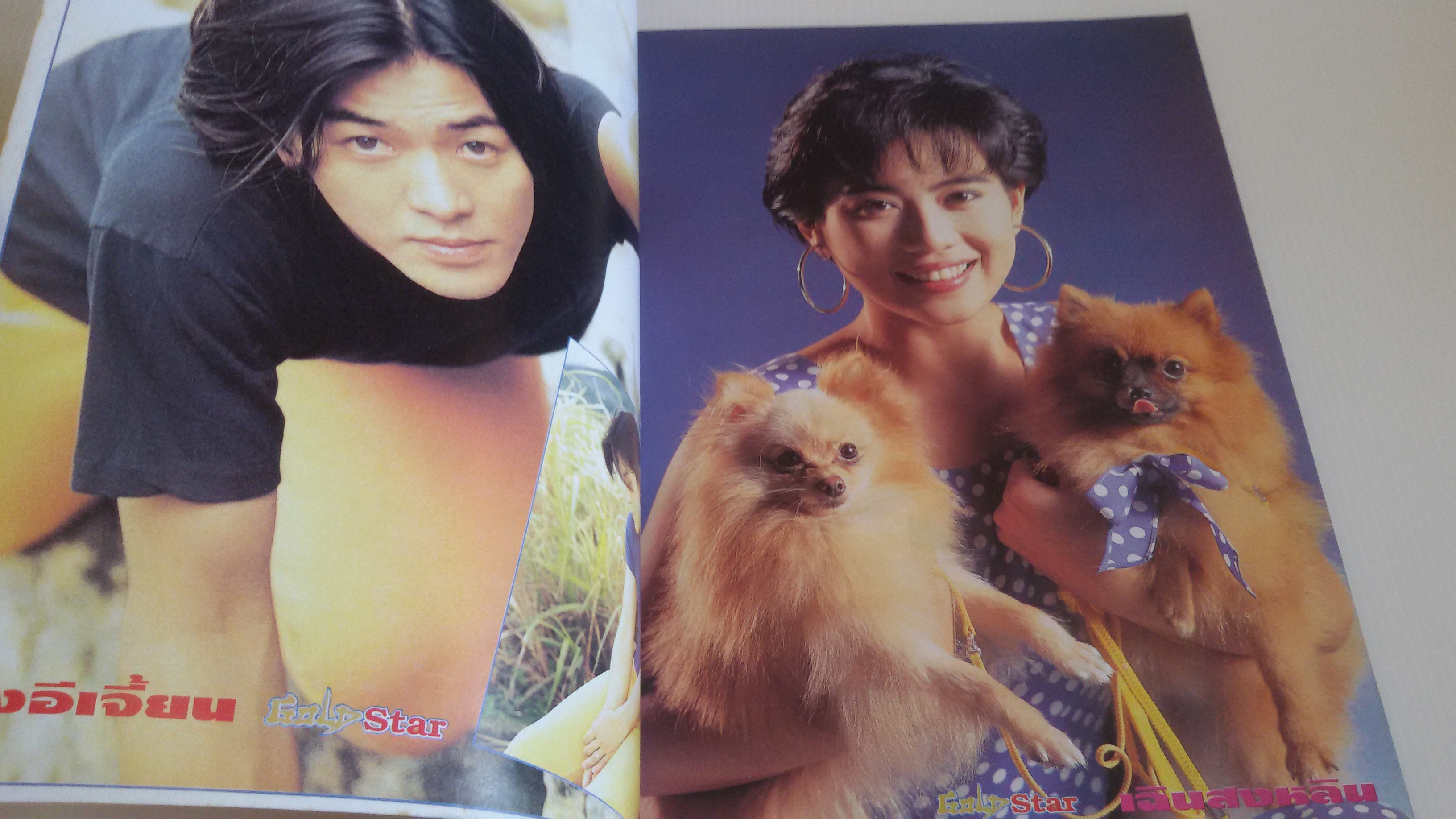 Gold Star มกราคม 2538