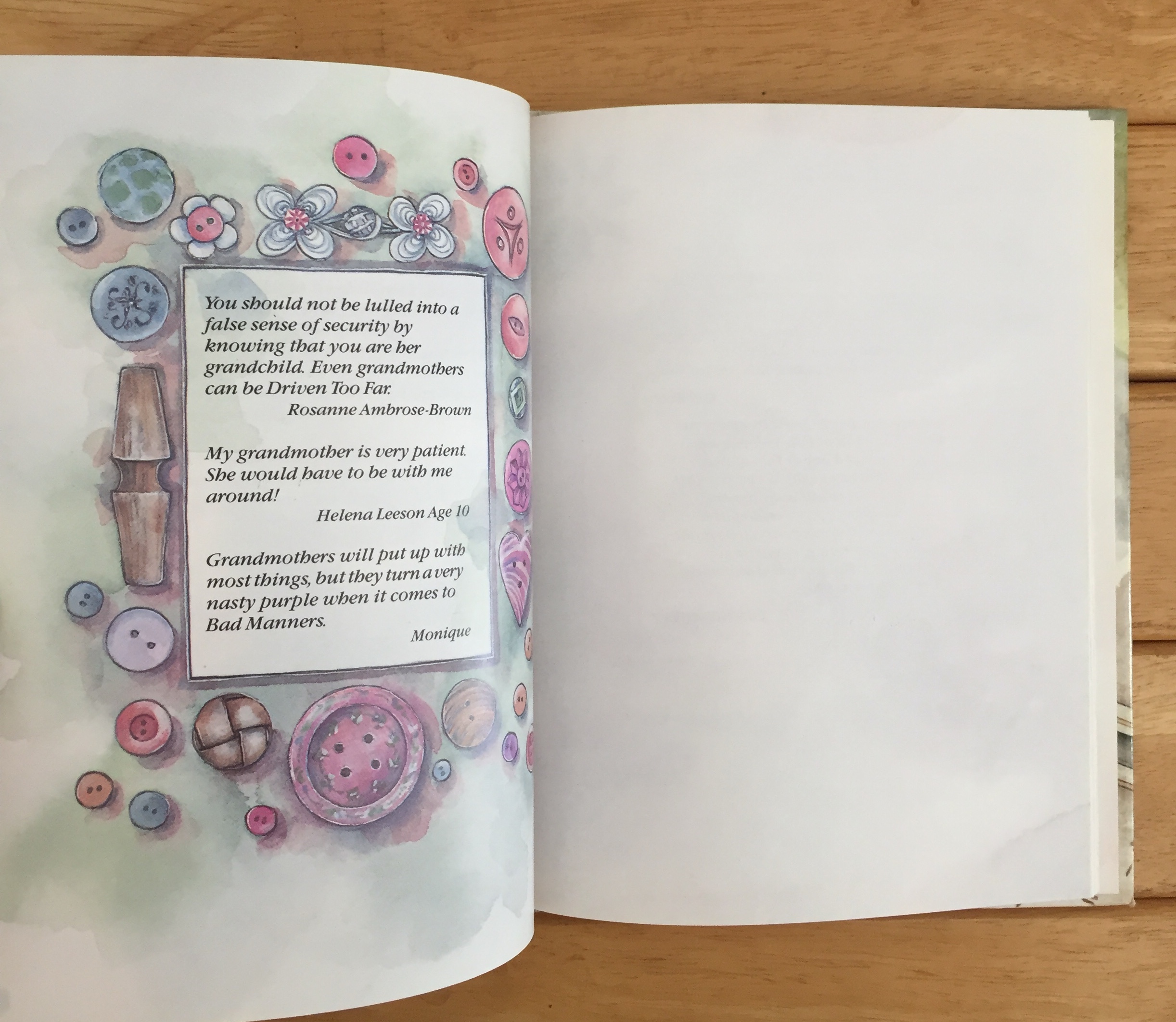 An Illustrated Grandmother's Notebook (Illustrated Notebooks)