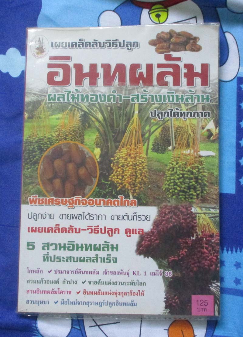 หนังสือเผยเคล็ดลับวิธีปลูกอินทผลัม