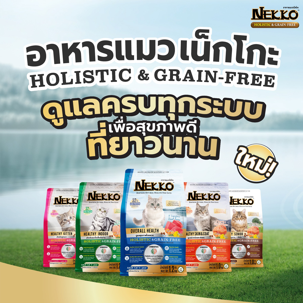 Nekko Holistic&Grain-Free เน็กโกะ โฮลิสติกและเกรนฟรี อาหารเม็ดแมว อาหารแมว ขนาด 1kgx10