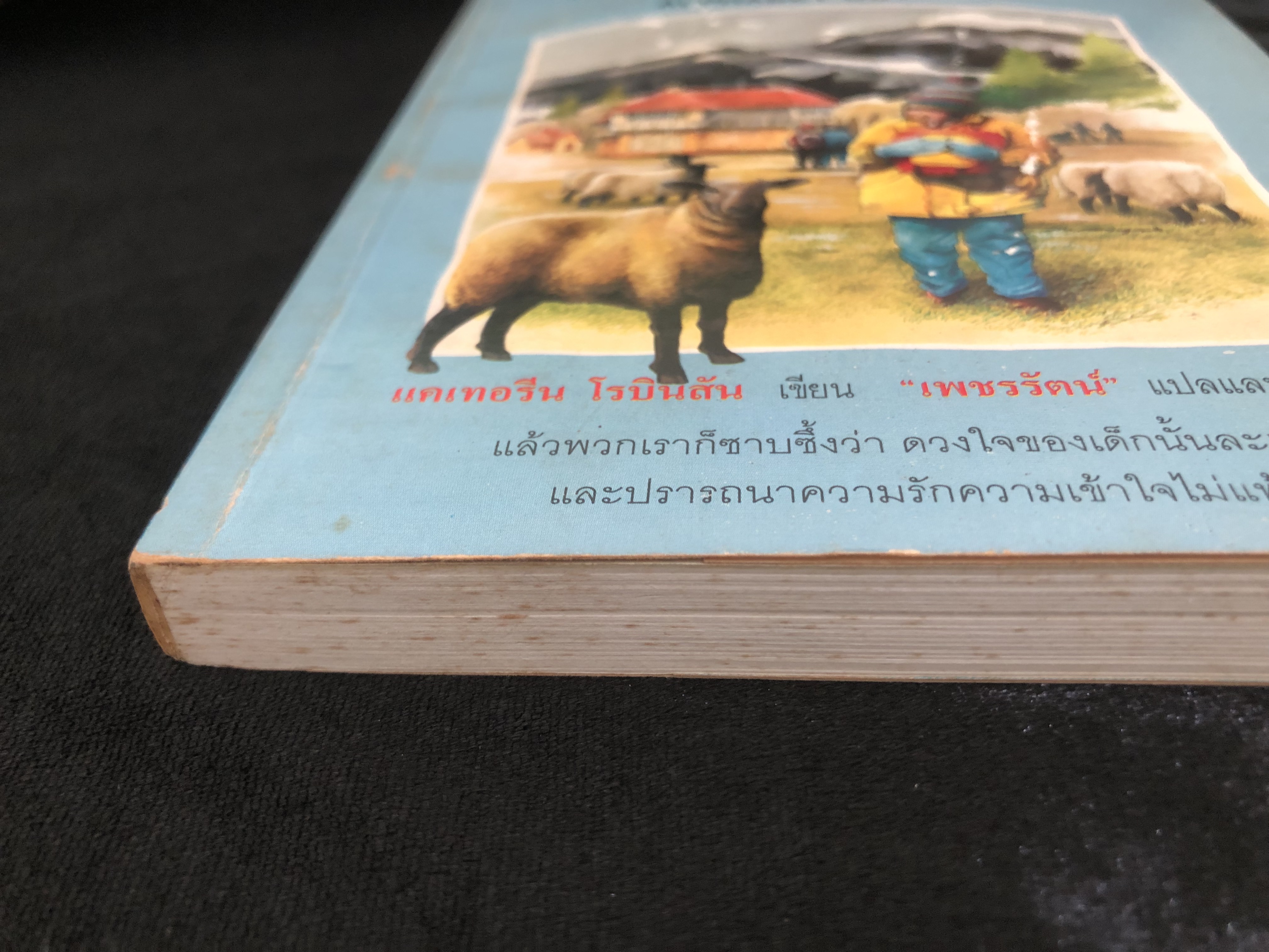 ครอบครัวตัวอักษร ALPHABET COUSINS