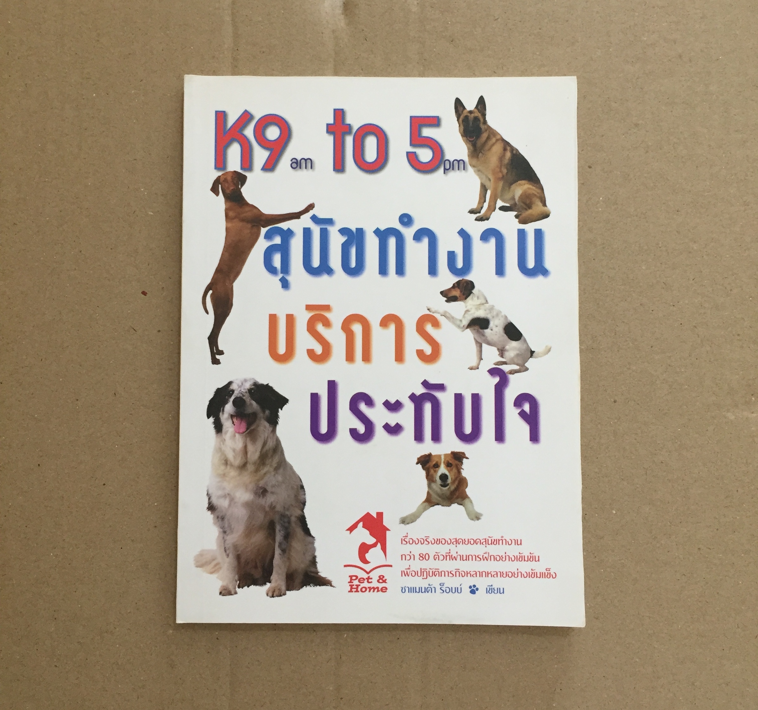 K9 am to 5pm สุนัขทำงาน บริการประทับใจ