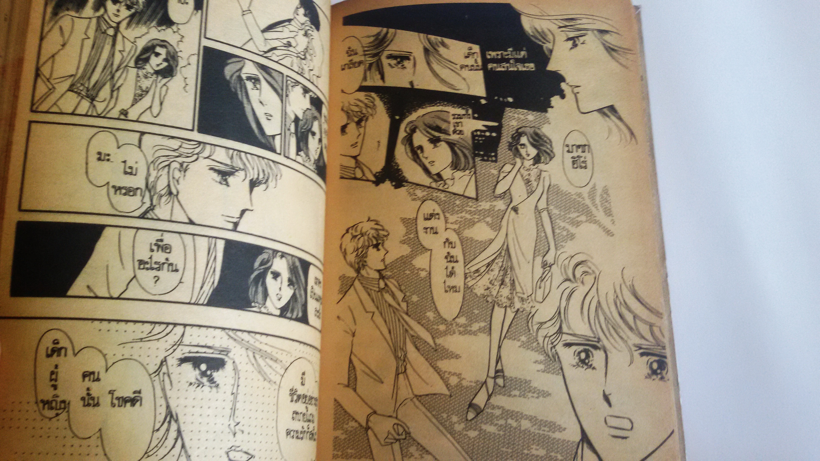 ไขว่คว้าหาฝัน(เล่มเดียวจบ)