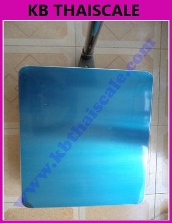 ตาชั่งดิจิตอล เครื่องชั่งดิจิตอล เครื่องชั่งวางพื้น200kg ความละเอียด 20g T7E-PB5060-200 แท่นชั่ง50X60cm พร้อมช่องต่อ RS-232C (RS-232C Serial Interface)