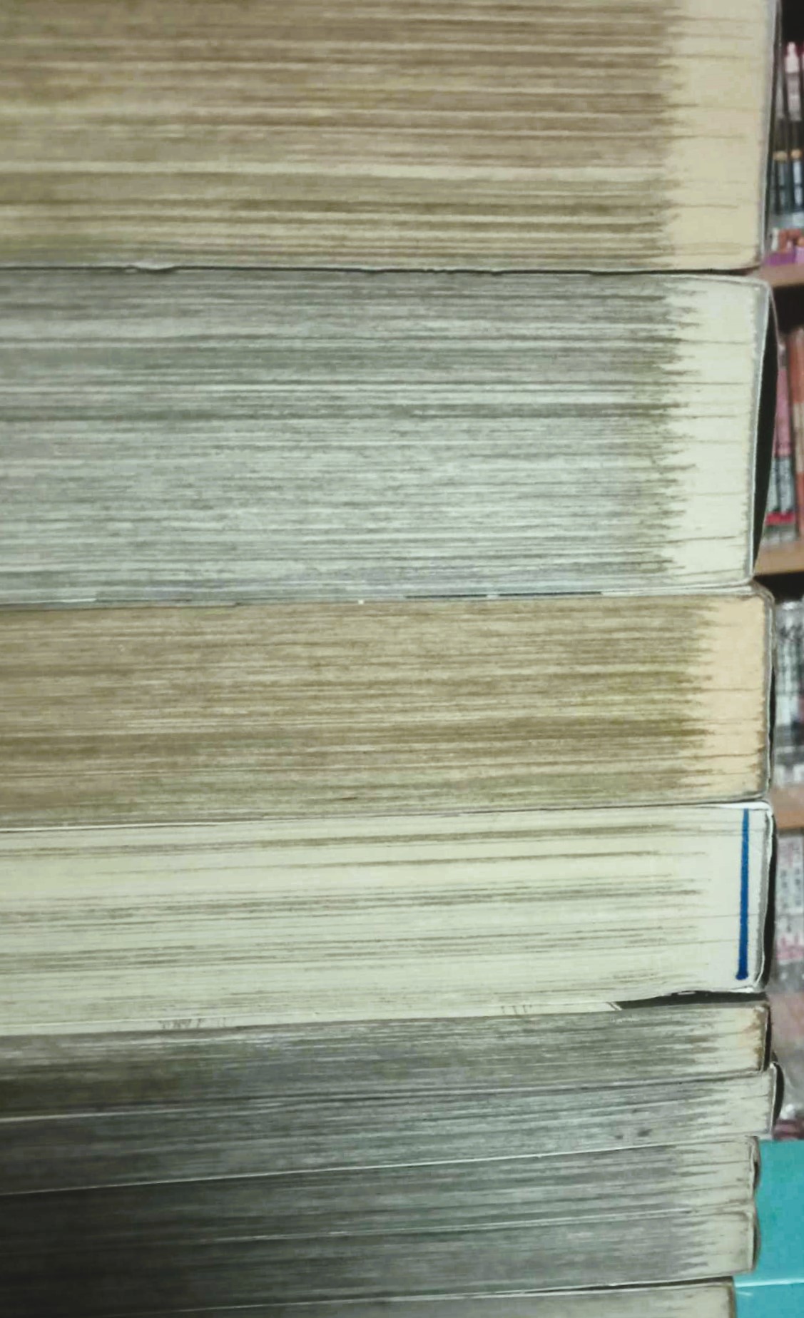 Shamo นักสู้สังเวียนเลือด