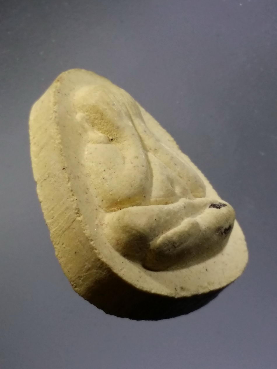 รหัสสินค้า พระมีกล่อง 3668 พระปิดตา เนื้อผง หลวงปู่อินทร์คำ วัดไชยสถาน พุทธเจดีย์ 9 ยอด จังหวัดเชียงใหม่ รุ่นหมดหนี้ ที่ระลึกอายุครบ 84 ปี