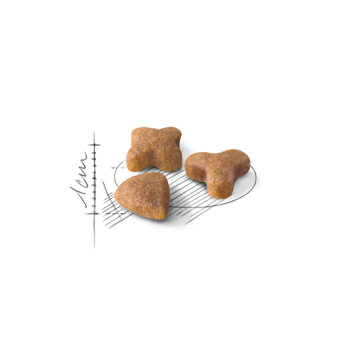 Royal Canin Sensible โรยัล คานิน แมวที่มีปัญหาระบบทางเดินอาหาร