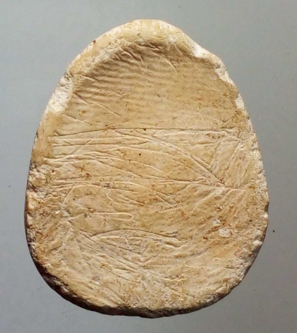 รหัสสินค้า พระไม่ทราบที่ 199 พระสังกัจจายน์วัดเงิน คลองเตย พิมพ์ไม่มีหู บางคนดูเป็นพระกรุ บางคนดูเป็นพระเกจิ ไม่ทราบที่ครับ