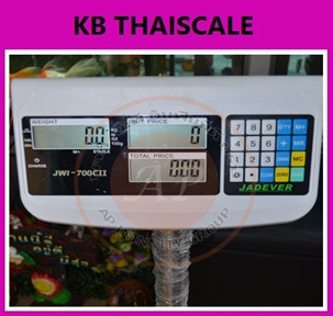ตาชั่งดิจิตอล2000kg เครื่องชั่งนับจำนวน เครื่องชั่งแบบตั้งพื้น2000kg ความละเอียด200g ยี่ห้อ JADEVER รุ่น JWI-700CII ขนาดแท่น 100X100cm