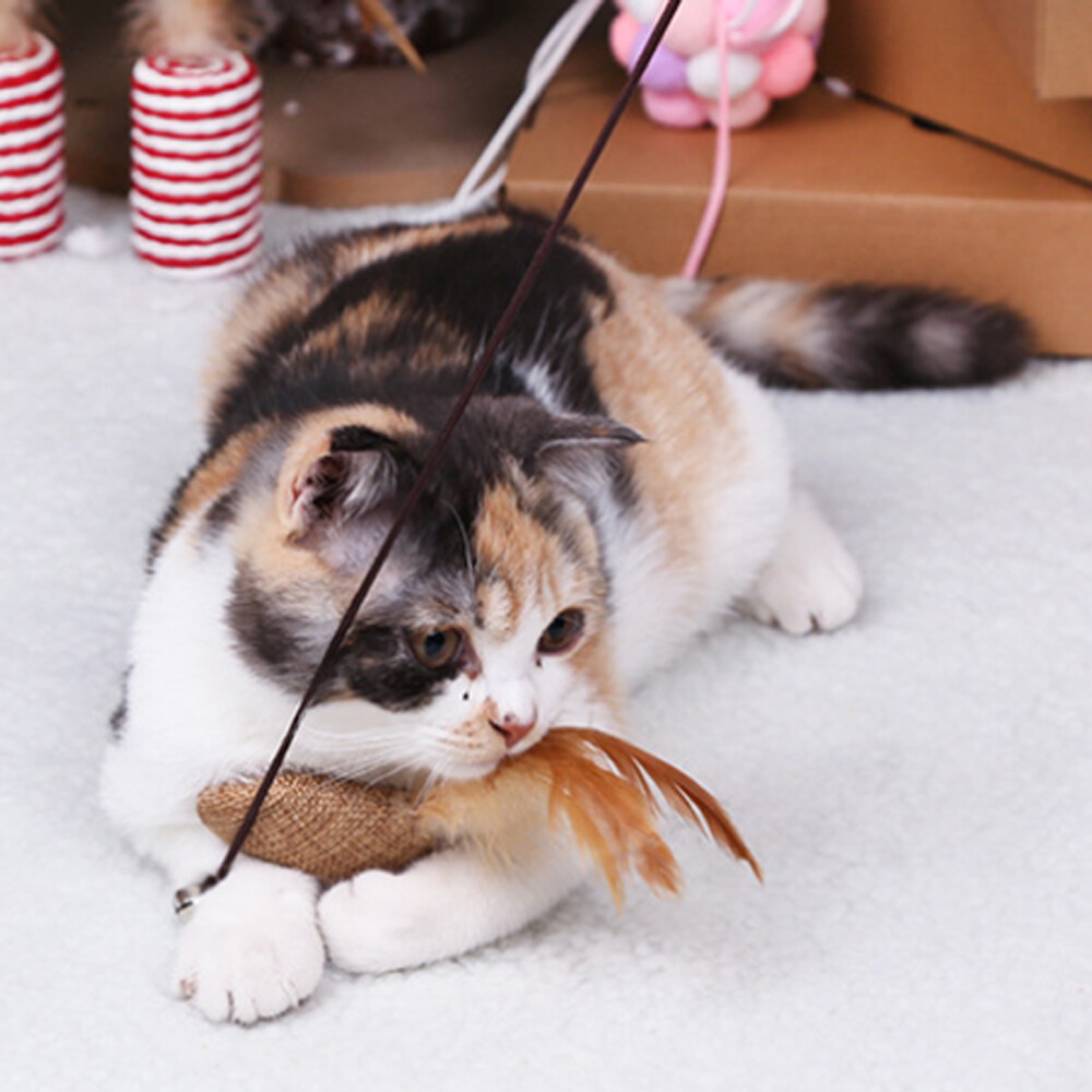 1ฟรี1 ไม้ล่อแมว ไม้ตกแมว เป็นของเล่นสำหรับแมวฝึกทักษะ ในการกระโดดและเคลื่อนไหว