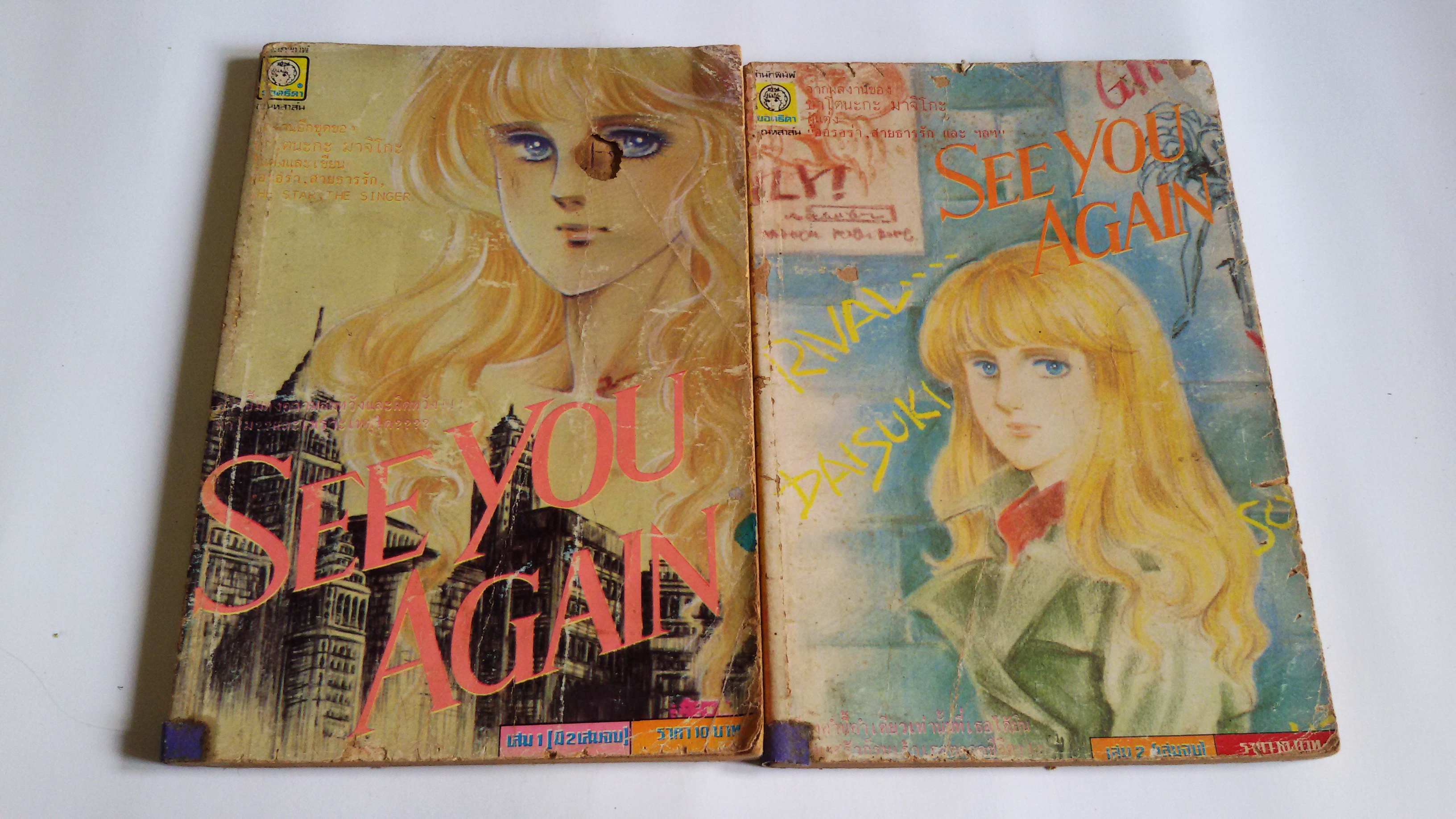 See you Again(2 เล่มจบ)/ ซาโตนะกะ มาจิโกะ ผู้วาดออรอร่า ,สายธารรัก