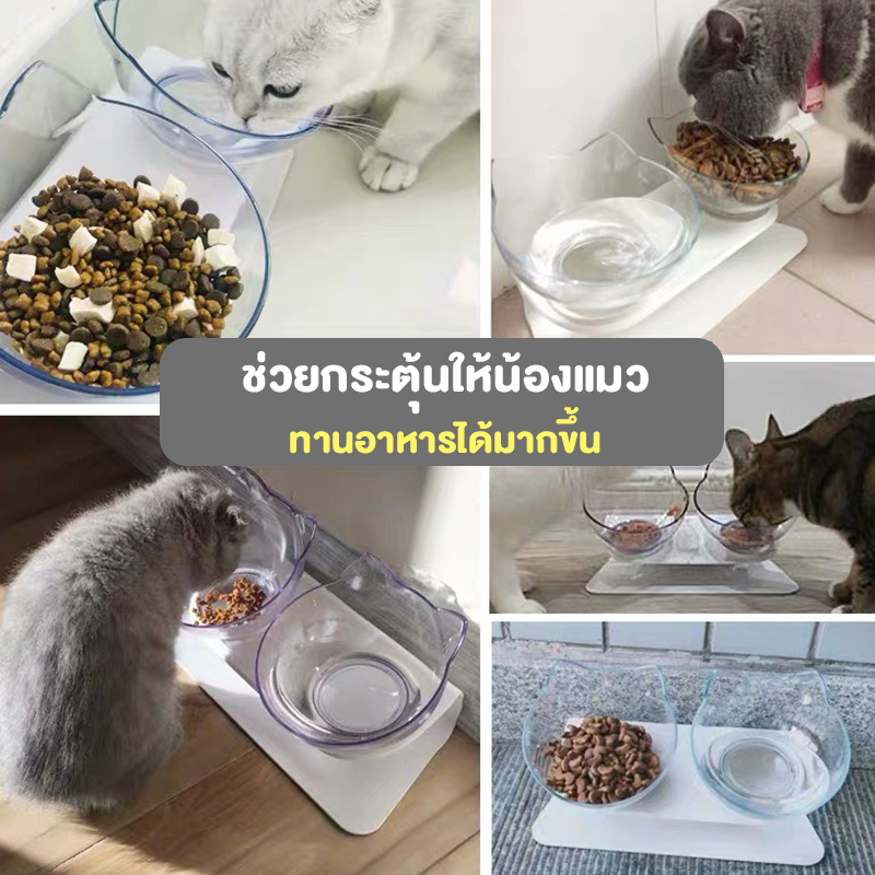 ชุดชามให้อาหารแมว แบบเอียง 15 องศา