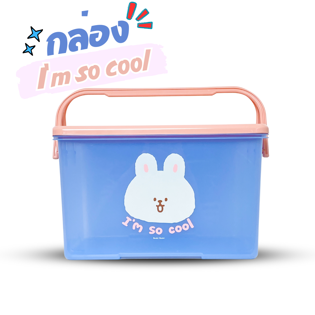 กล่องอเนกประสงค์มีหูหิ้ว กล่องใส่ของเตรียมคลอด ลายการ์ตูนลิขสิทธิ์แท้