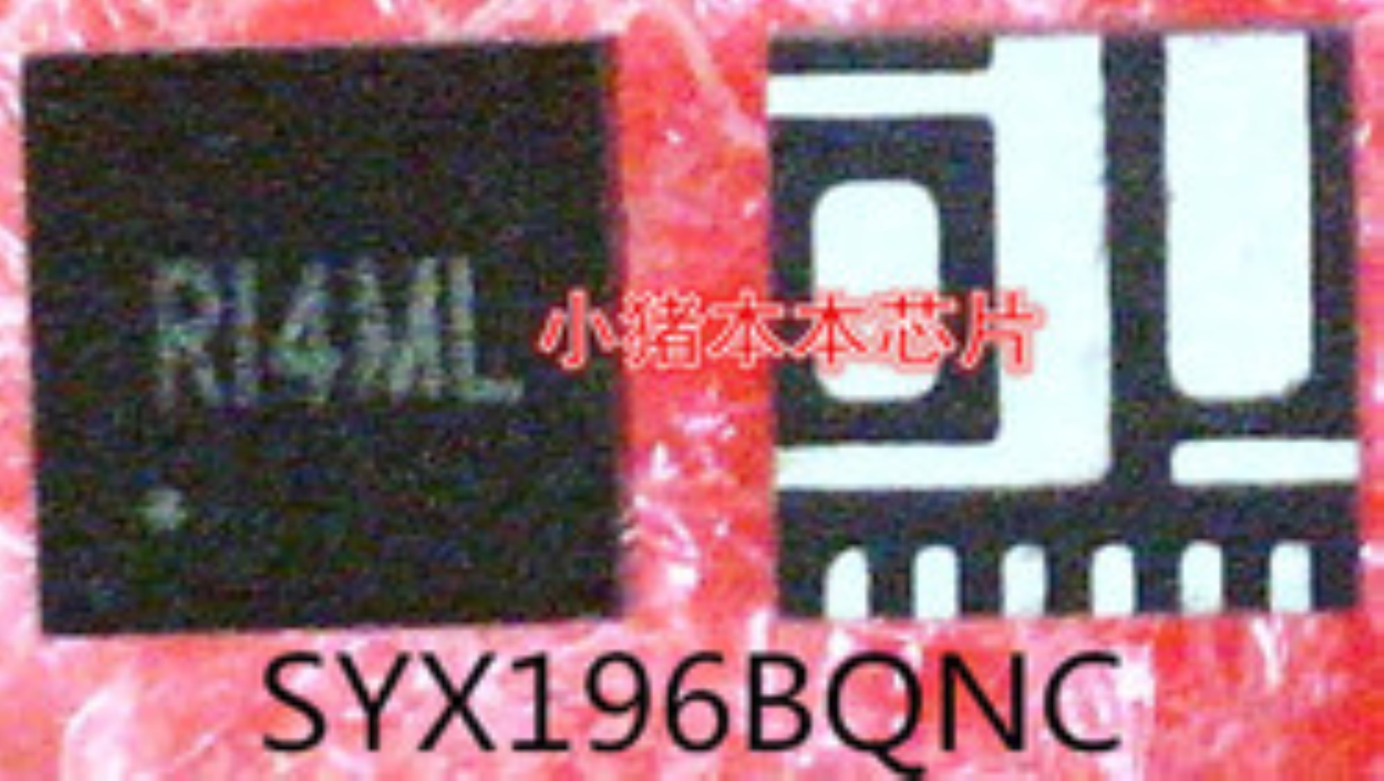 SYX196BQNC RI4ML RI4 RI5 RI5NC RI