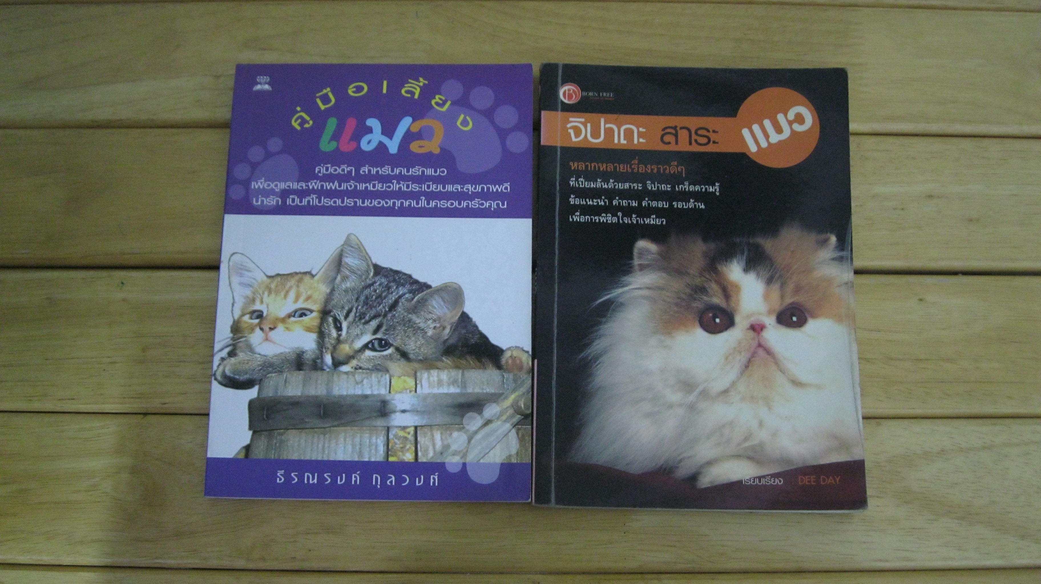 คู่มือเลี้ยงแมว,จิปาถะสาระแมว