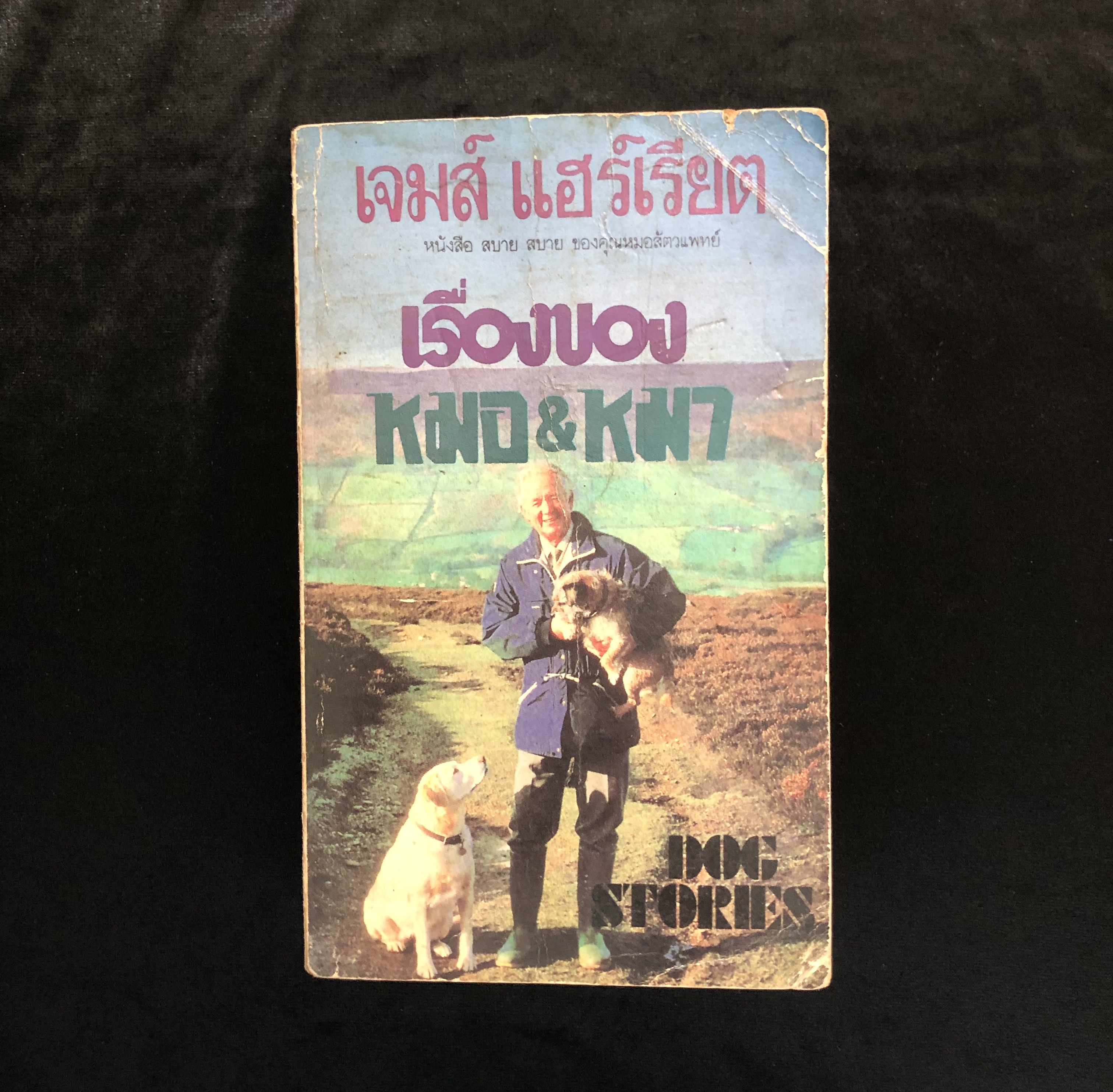 เรื่องของหมอ เรื่องของหมา (Dog Stories) **หนังสือสภาพเก่า มีตำหนิ**