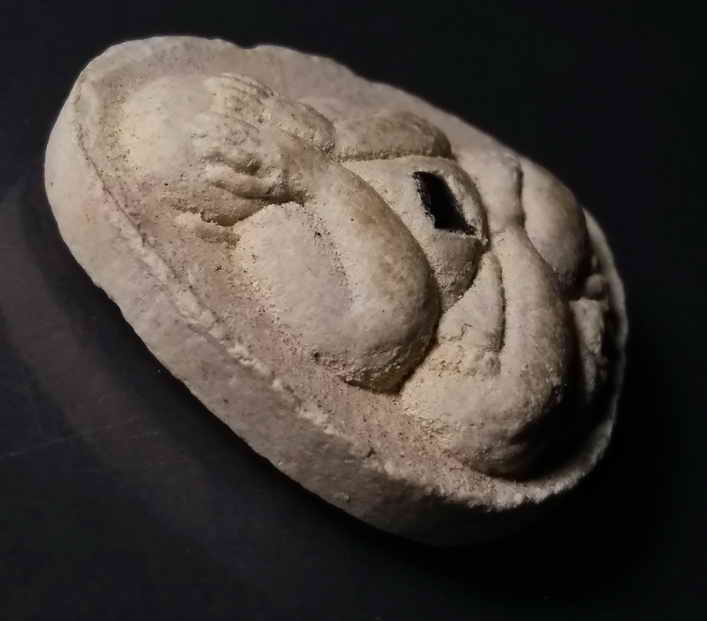 รหัสสินค้า พระปิดตา ทั่วไป 070 พระปิดตาเนื้อผงฝังนิล หลวงปู่หลาบ วัดสันป่าพาด ที่ระลึกอายุครบ 84 ปี