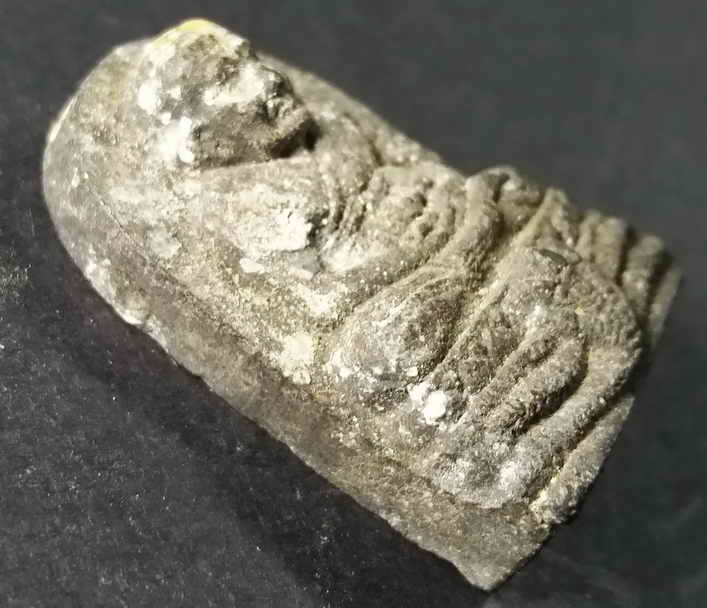 รหัสสินค้า ปัตตานี 004 หลวงปู่ทวดเนื้อว่าน วัดช้างให้ จังหวัดปัตตานี พิมพ์นั่งพญานาค 5 เศียร ไม่ทราบปีที่สร้าง พระรายการนี้ให้เช่าบูชาแล้ว