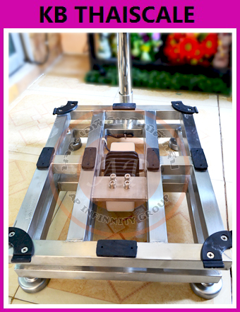 เครื่องชั่งกันน้ำ150kg เครื่องชั่งน้ำหนักดิจิตอลกันน้ำ150kg ตาชั่งสแตนเลส150kg ความละเอียด 10g รุ่น AAW-SS แท่นขนาด40x50cm