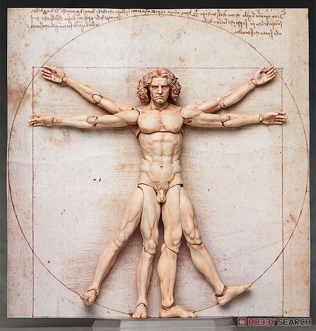 <Preorderถึง 24/9/2021>🔔เปิดรับPreorder มัดจำ400บาท figma Vitruvian Man (PVC Figure)