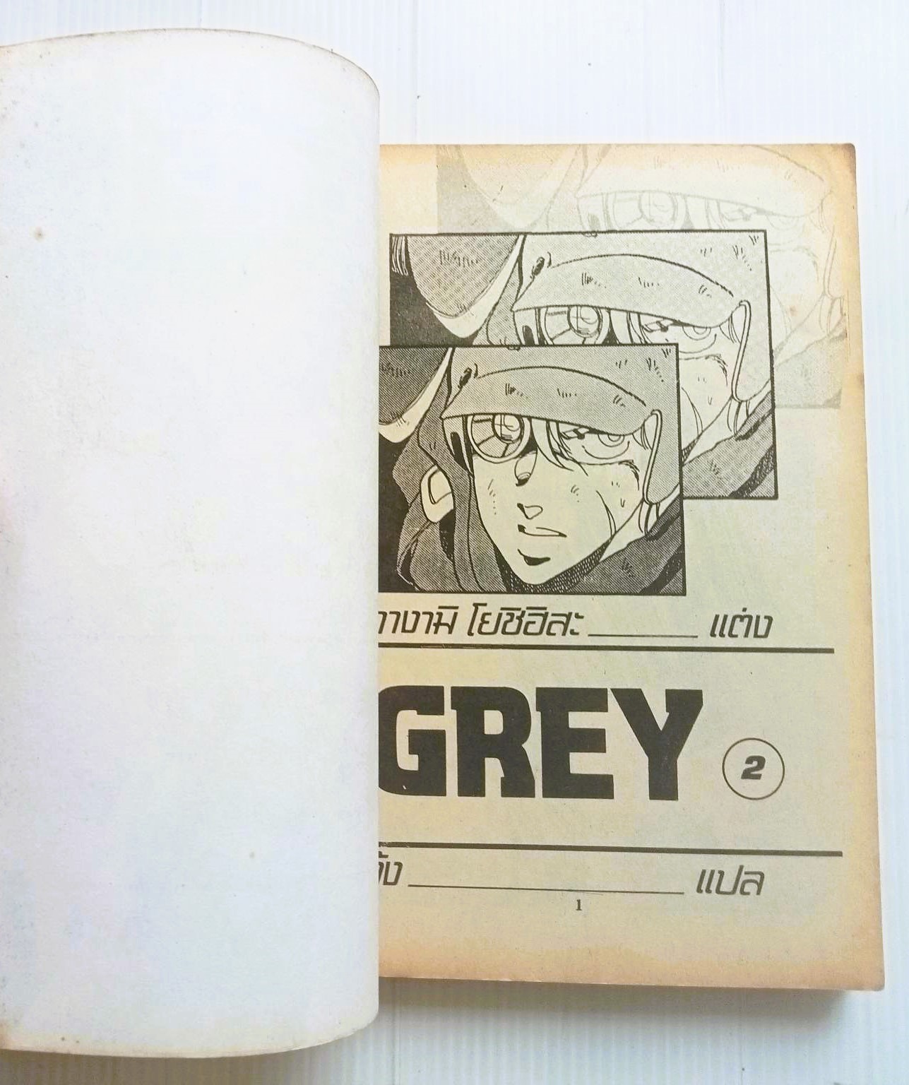 เกรย์ GREY