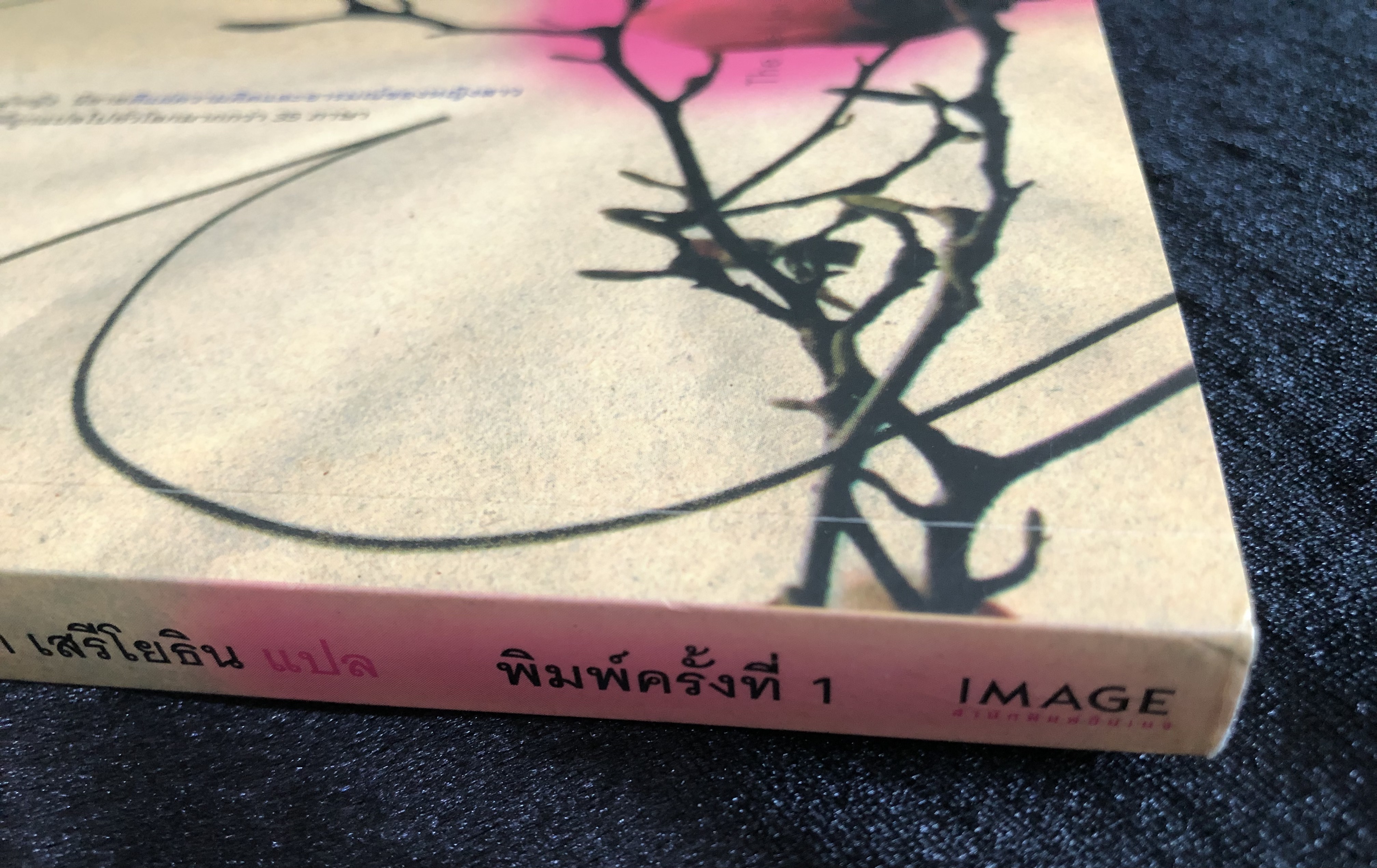 ในกรงแก้ว The Bell Jar - ซิลเวีย แพลท
