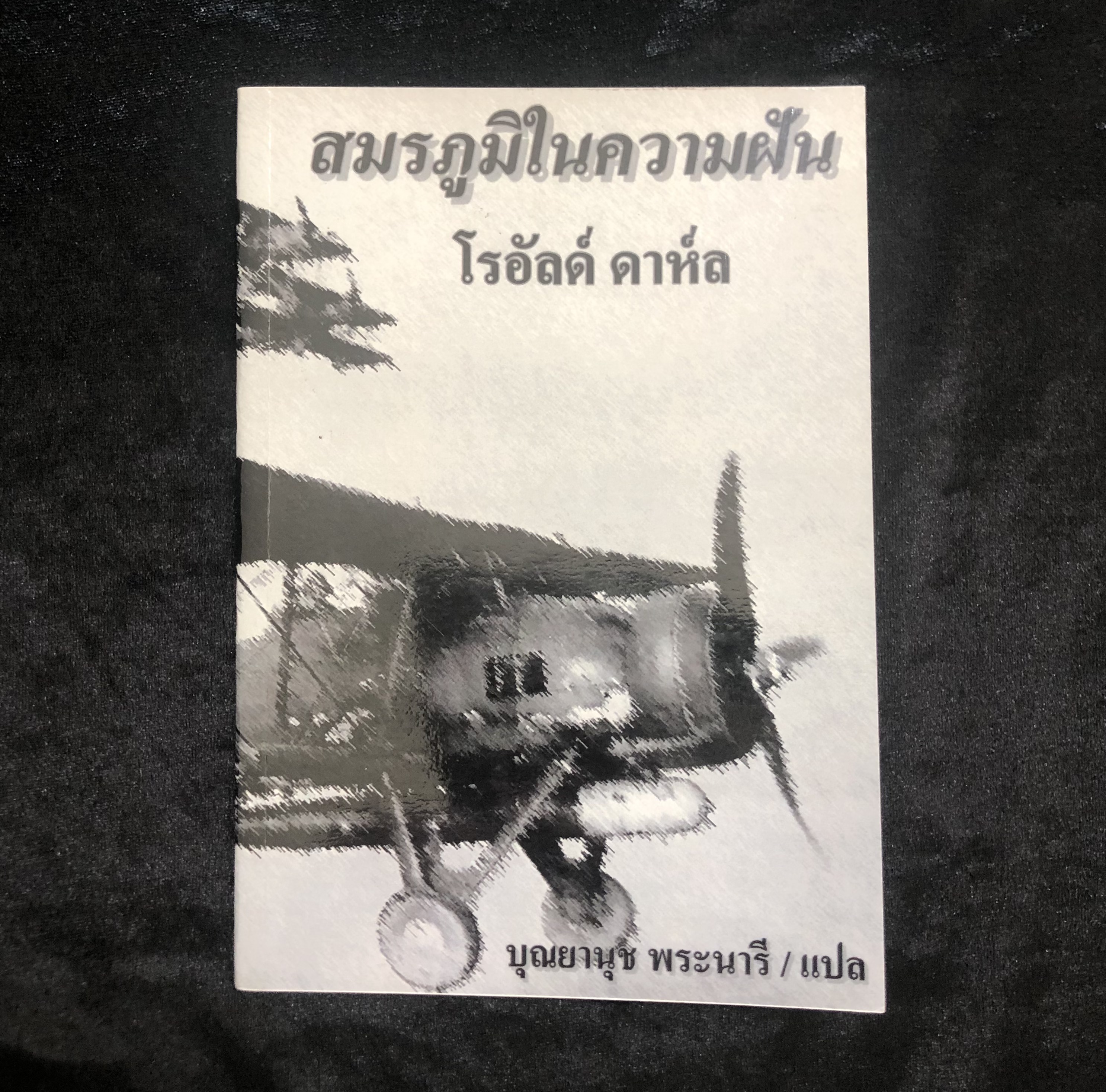 สมรภูมิในความฝัน