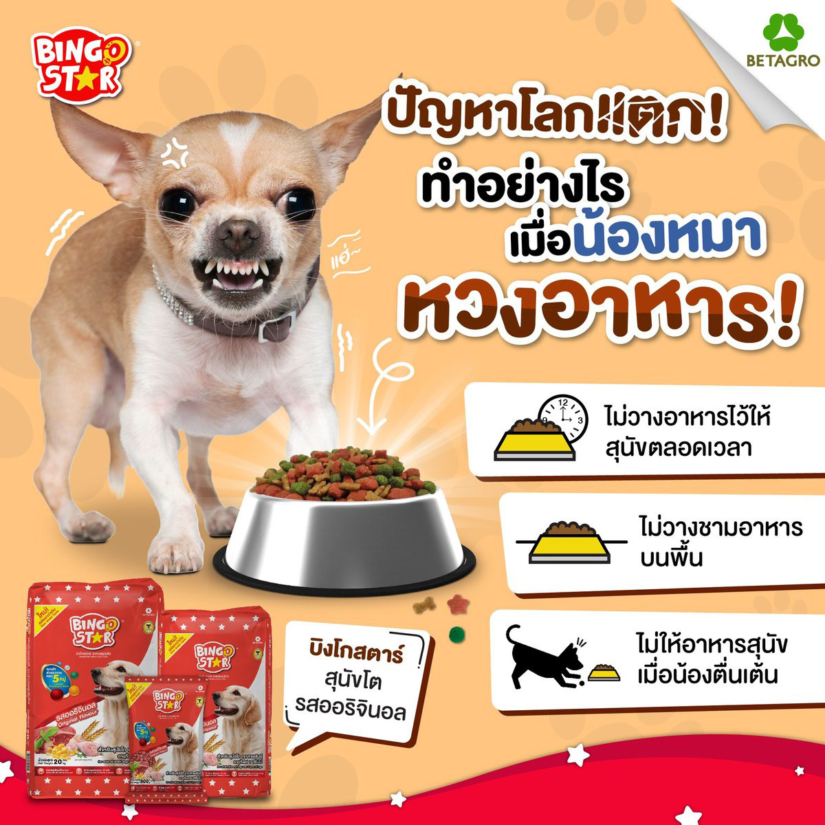 Bingo Star บิงโก สตาร์ อาหารเม็ดสำหรับสุนัข ขนาด 10 กิโลกรัม