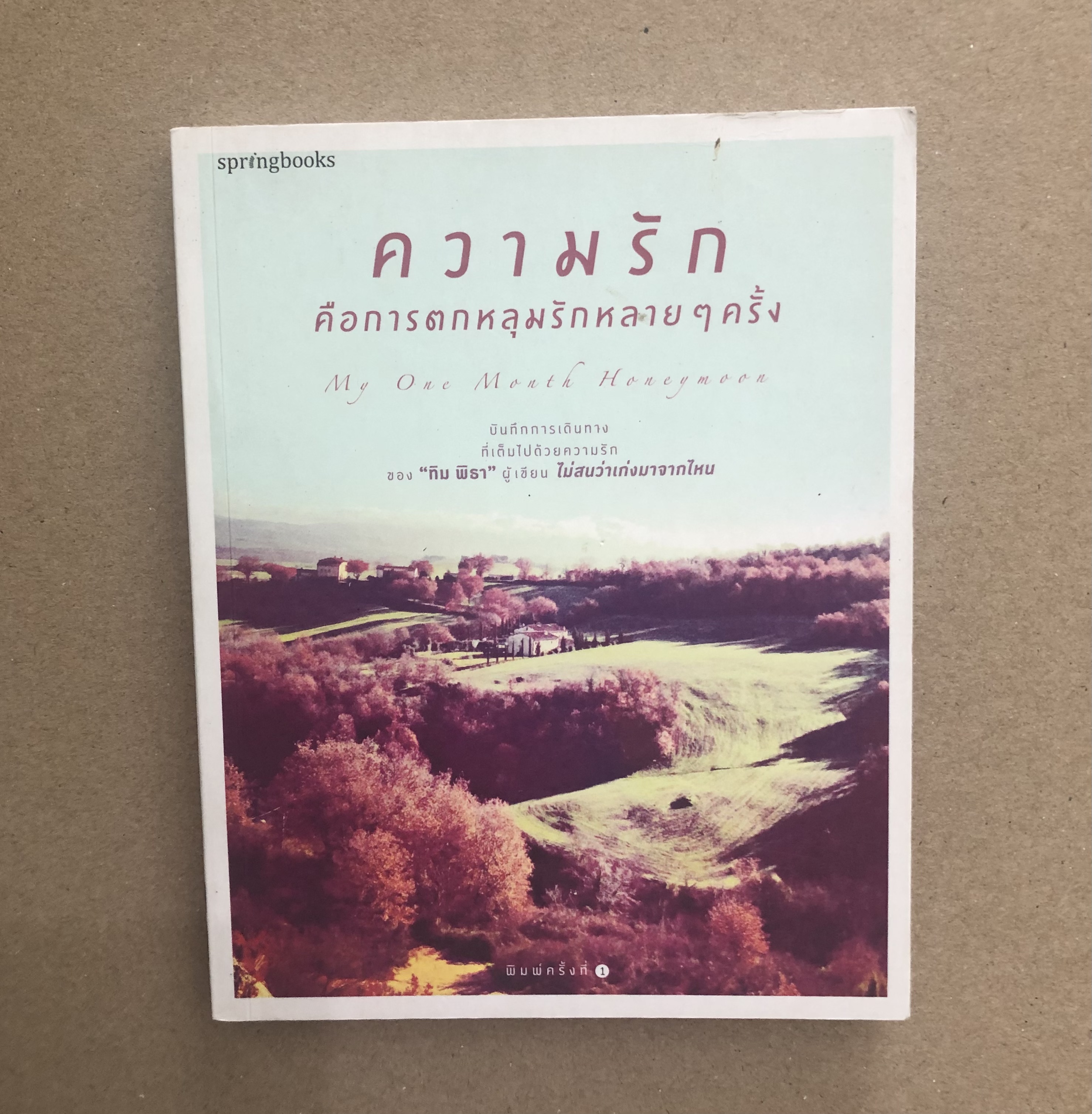 ความรัก คือการตกหลุมรักหลายๆ ครั้ง / ทิม พิธา