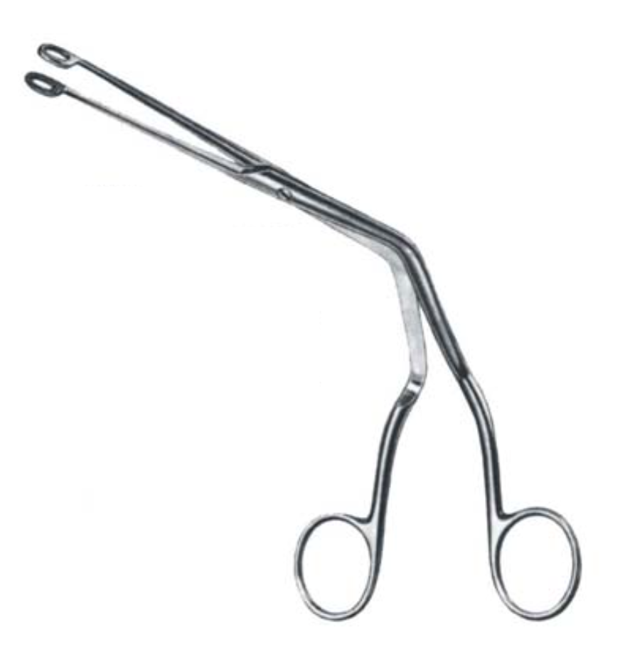 Forceps MAGILL