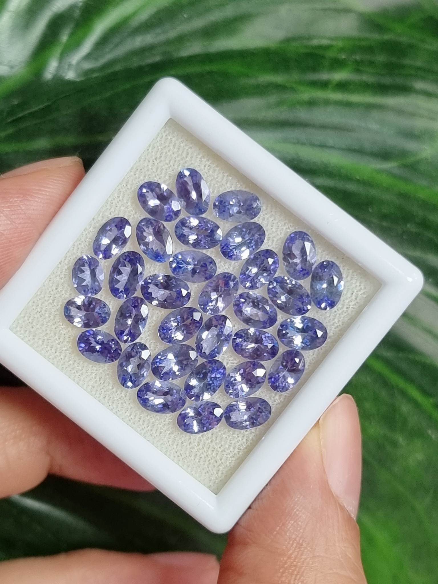 แทนซาไนท์ไข่ 6x4mm. 15.70 กะรัต 1 ชุด