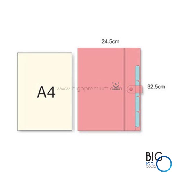 แฟ้มใส่เอกสาร 5 ช่อง (Kawaii Folder)