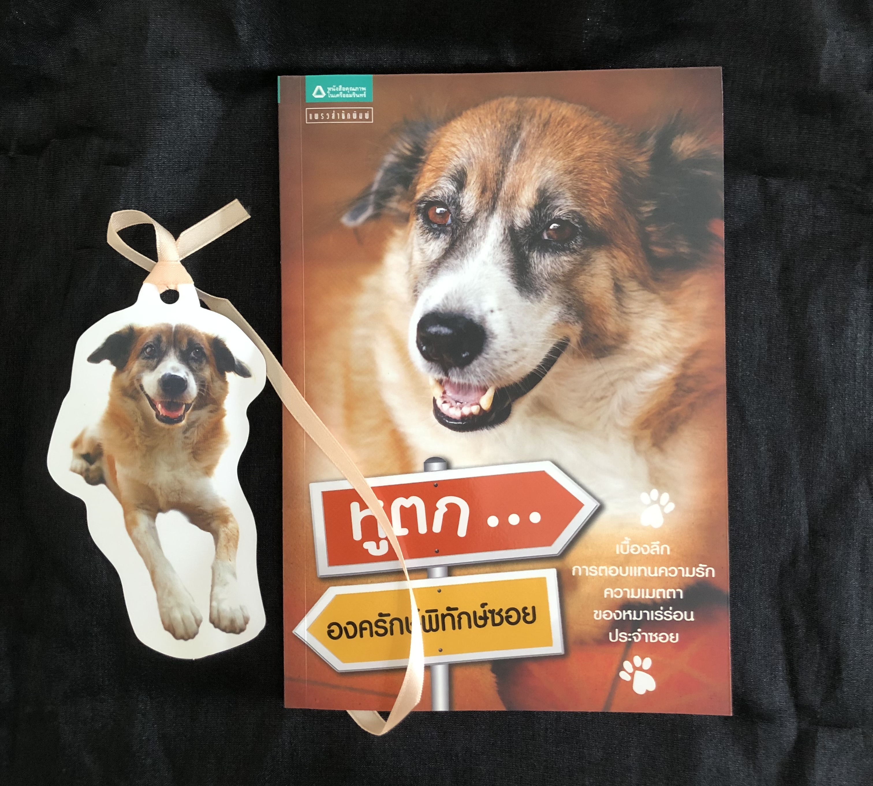 หูตก...องครักษ์พิทักษ์ซอย