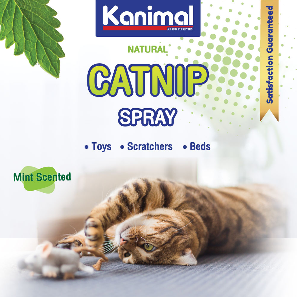 Kanimal Catnip Spray คานิมอล สเปรย์แคทนิป เหมาะสำหรับแมวอายุ 4 เดือนขึ้นไป ขนาด 29.5 & 75 ML