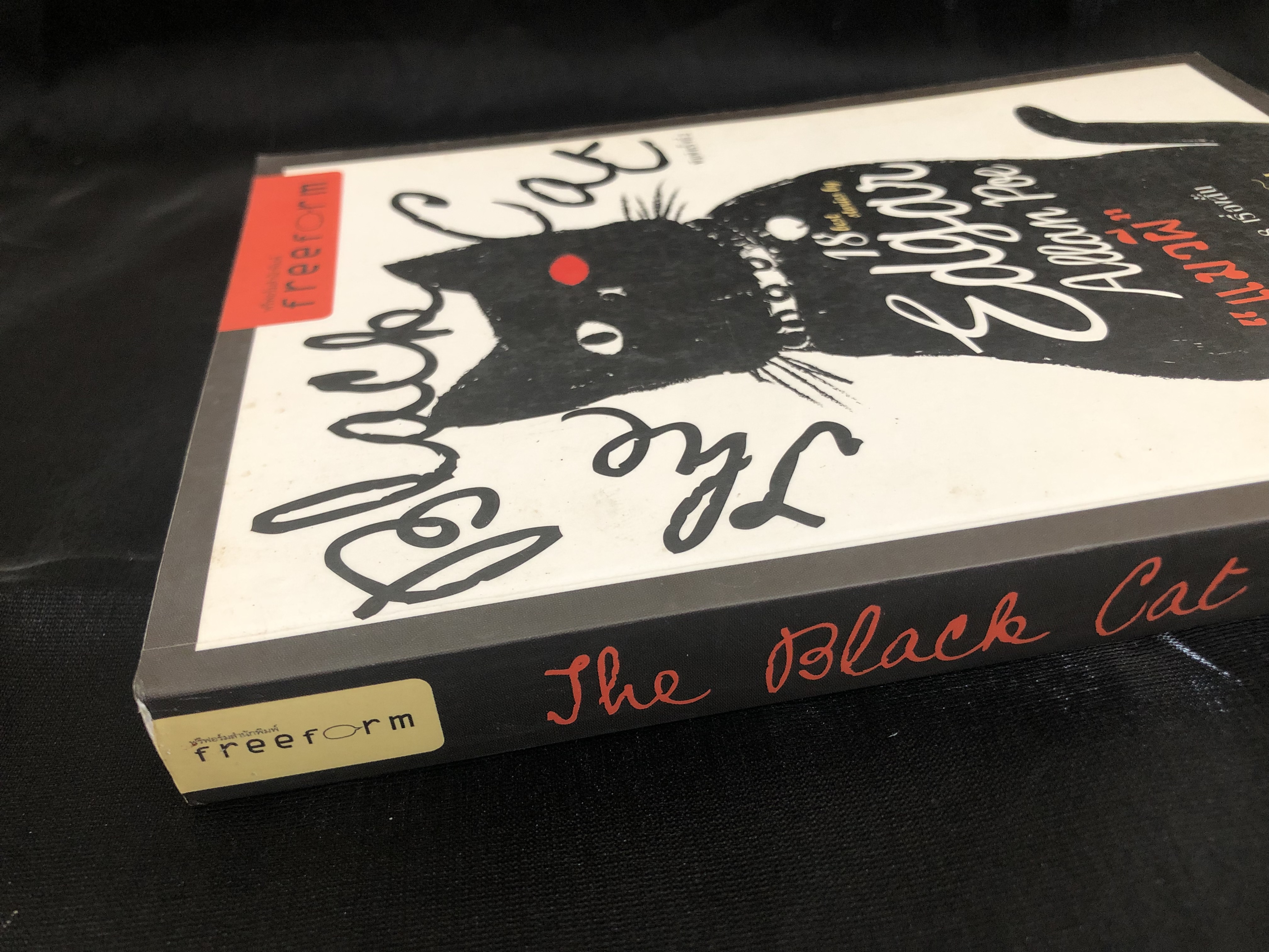 แมวผี : The Black Cat