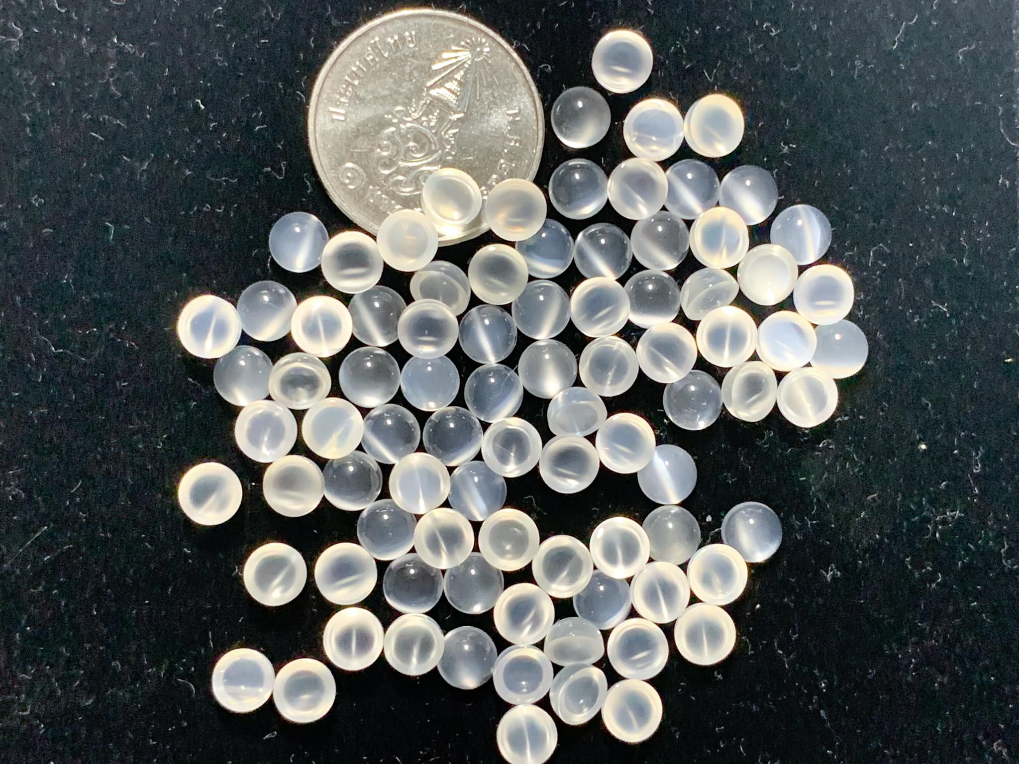 มูนสโตนกลมหลังเบี้ย (ตาแมว) 5 mm. 5 กะรัต