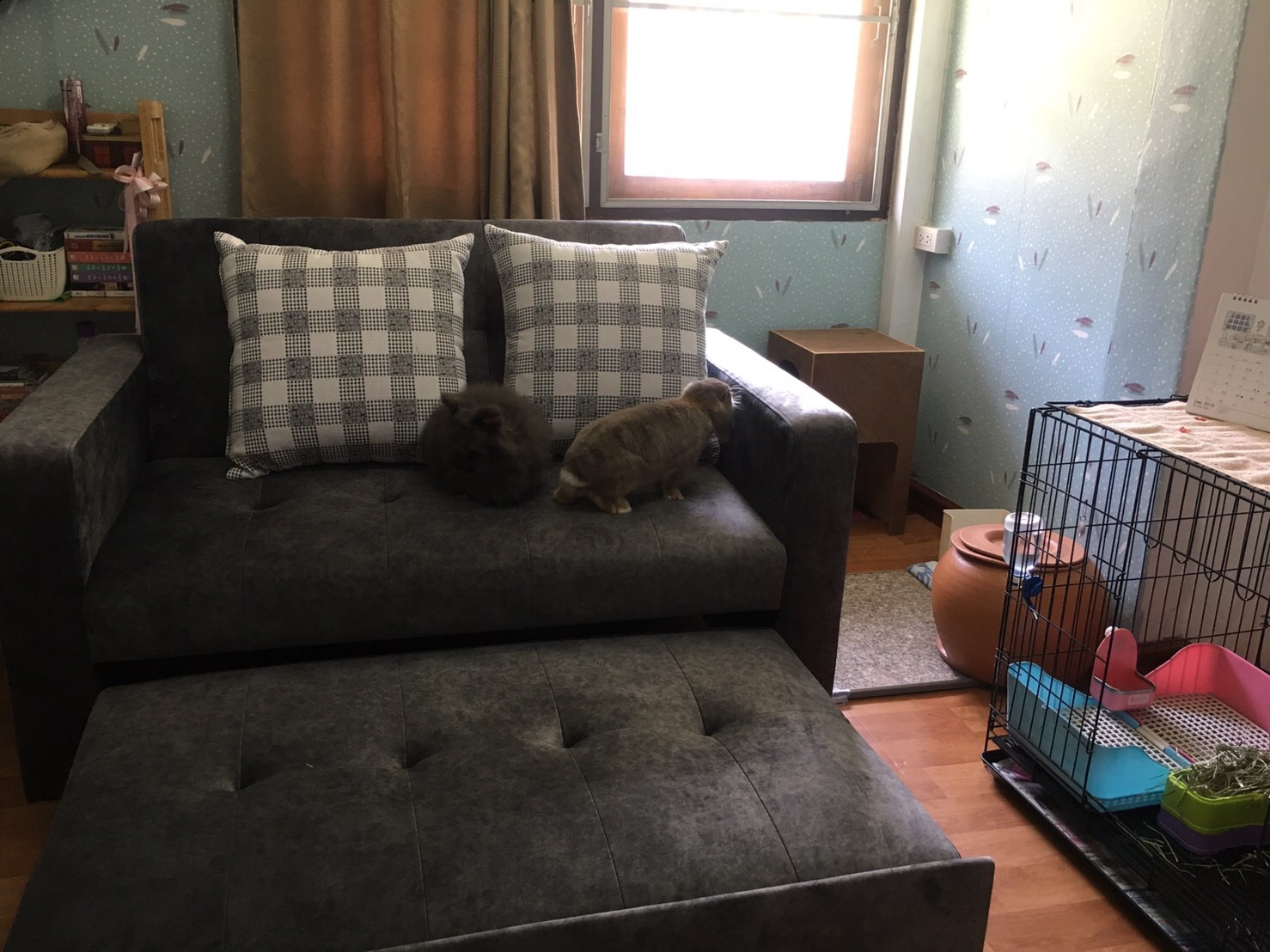 โซฟาเบด TriO mini 145 cm