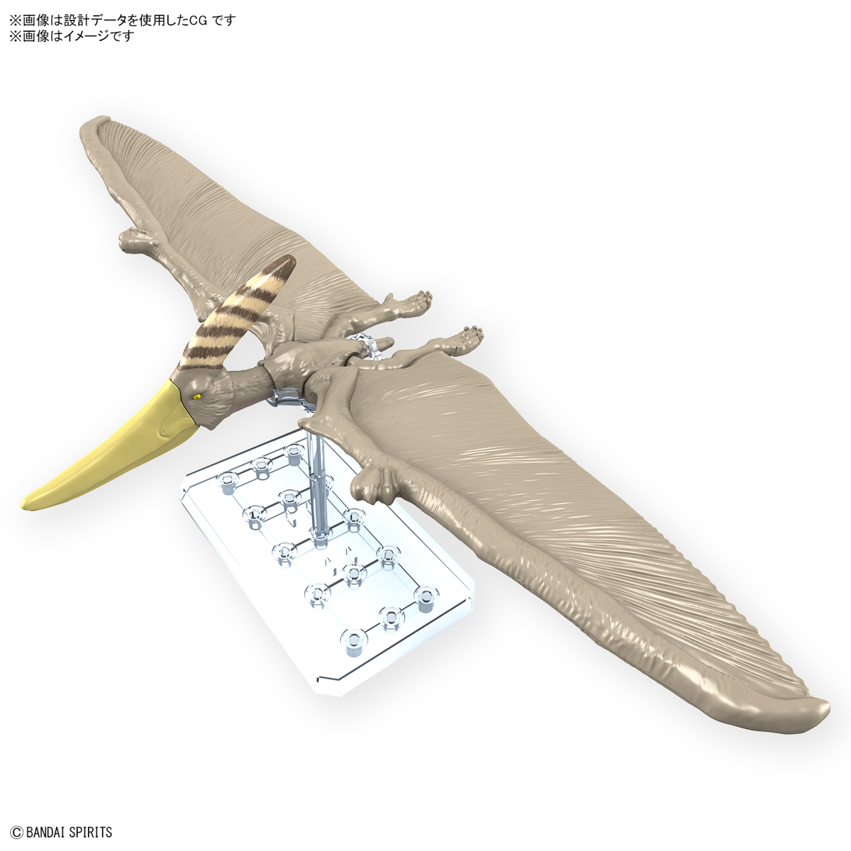<Preorder ปิดรับวันที่30/9/2023 >🔔เปิดรับPreorder ไม่ต้องมัดจำครับ planosaurus pteranodon