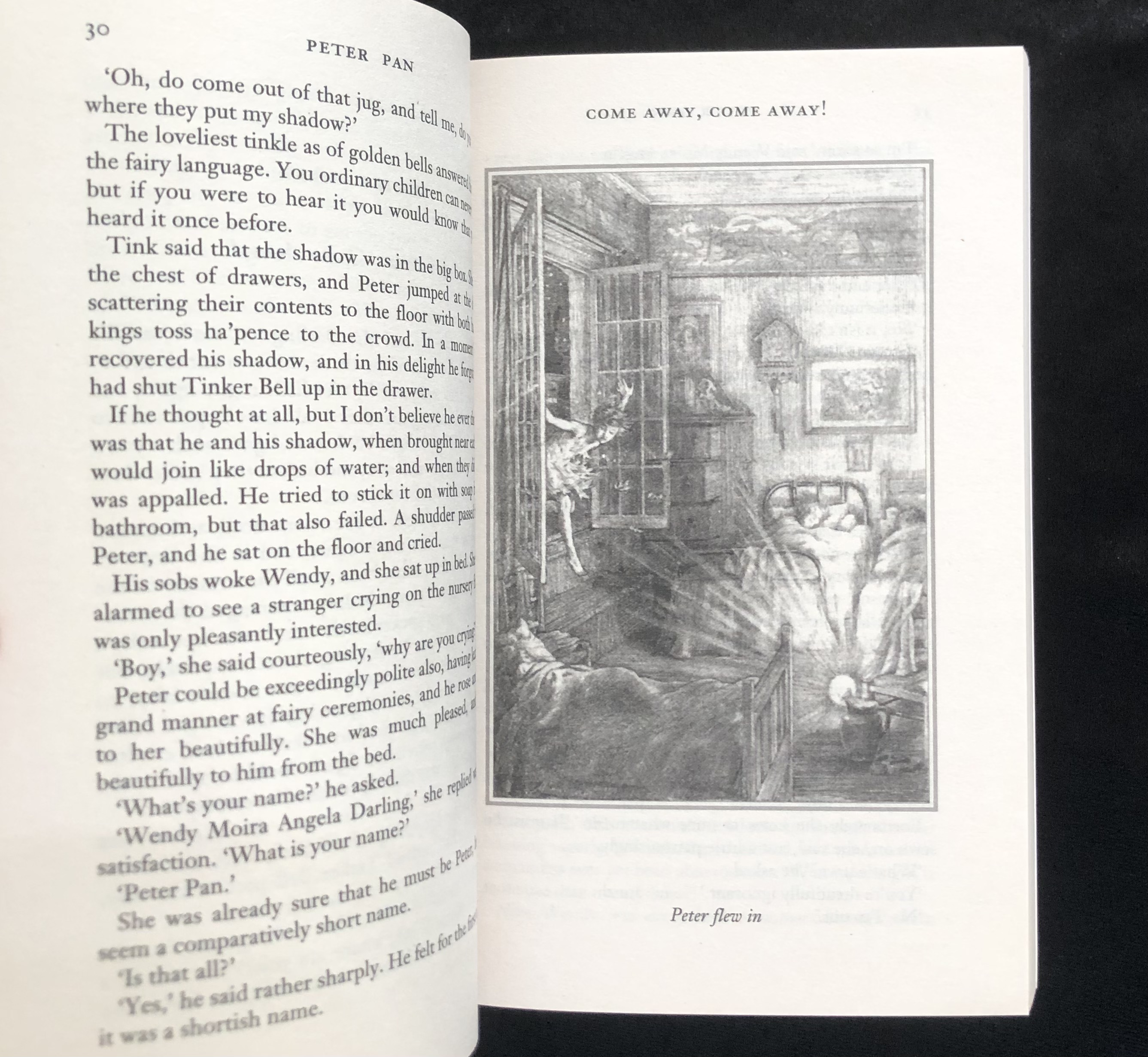 WORDSWORTH READERS: PETER PAN