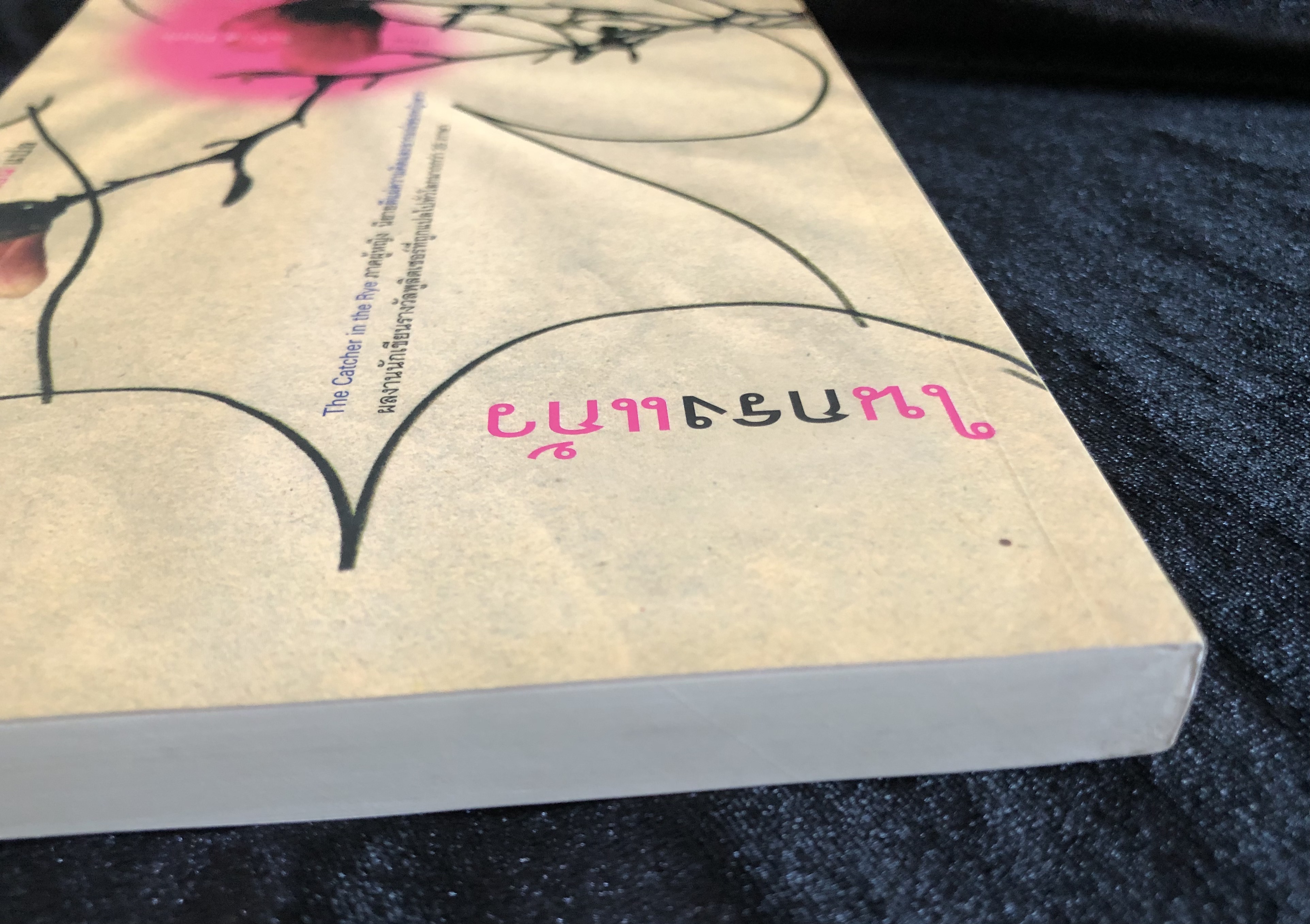 ในกรงแก้ว The Bell Jar - ซิลเวีย แพลท