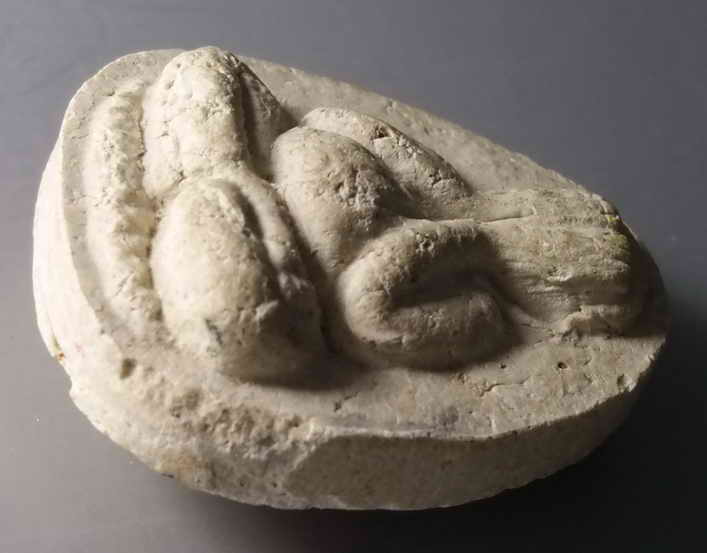 รหัสสินค้า พระปิดตา ทั่วไป 060 พระปิดตาเนื้อผง หลวงปู่แสง ปริปุณโณ พระรายการนี้ให้เช่าบูชาแล้ว