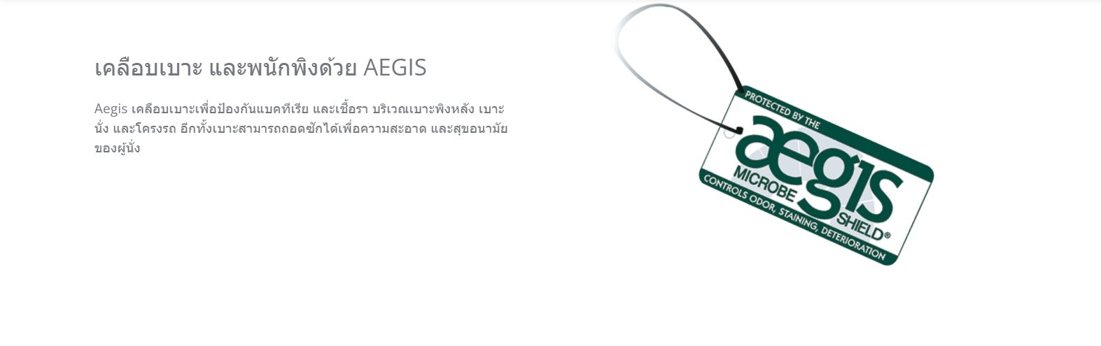 รถเข็นอลูมินัมอัลลอยด์คาร์ม่า รุ่น S-Ergo 105 (WheelChair KARMA S-Ergo 105) เบาะหนานุ่มสีเทาเท่ห์ นั่งสบายสไตล์เบาะรูปตัว S-Shape ของแท้ รับประกันศูนย์ไทย 5 ปี