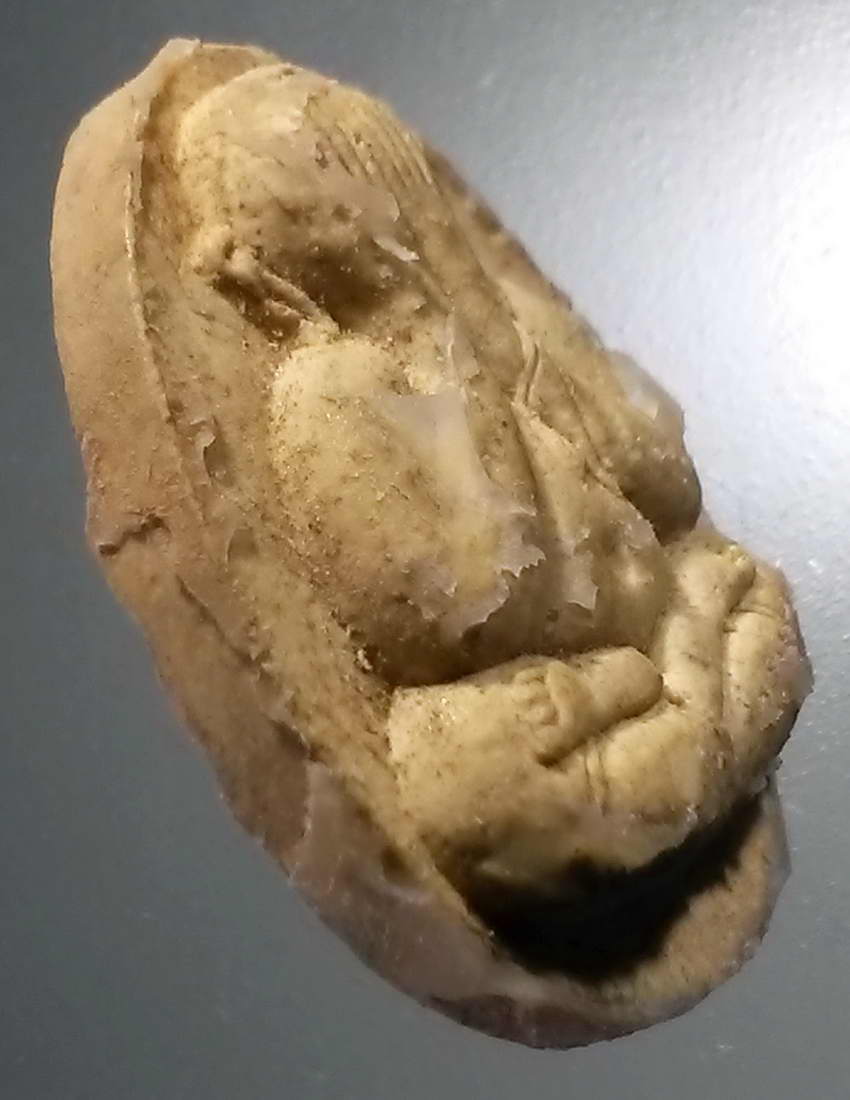 รหัสสินค้า พระปิดตา ทั่วไป 253 พระปิดตาเนื้อผง โรยผงตะไบ หลวงปู่ทองดำ วัดท่าทอง จังหวัดอุตรดิตถ์ สร้างปี 2537